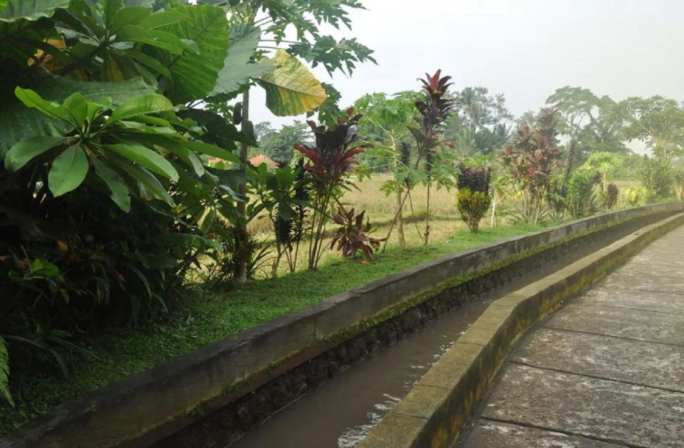 Natural landscape in Candra Asri Bungalow! Free Early Check In, Great November Deal!