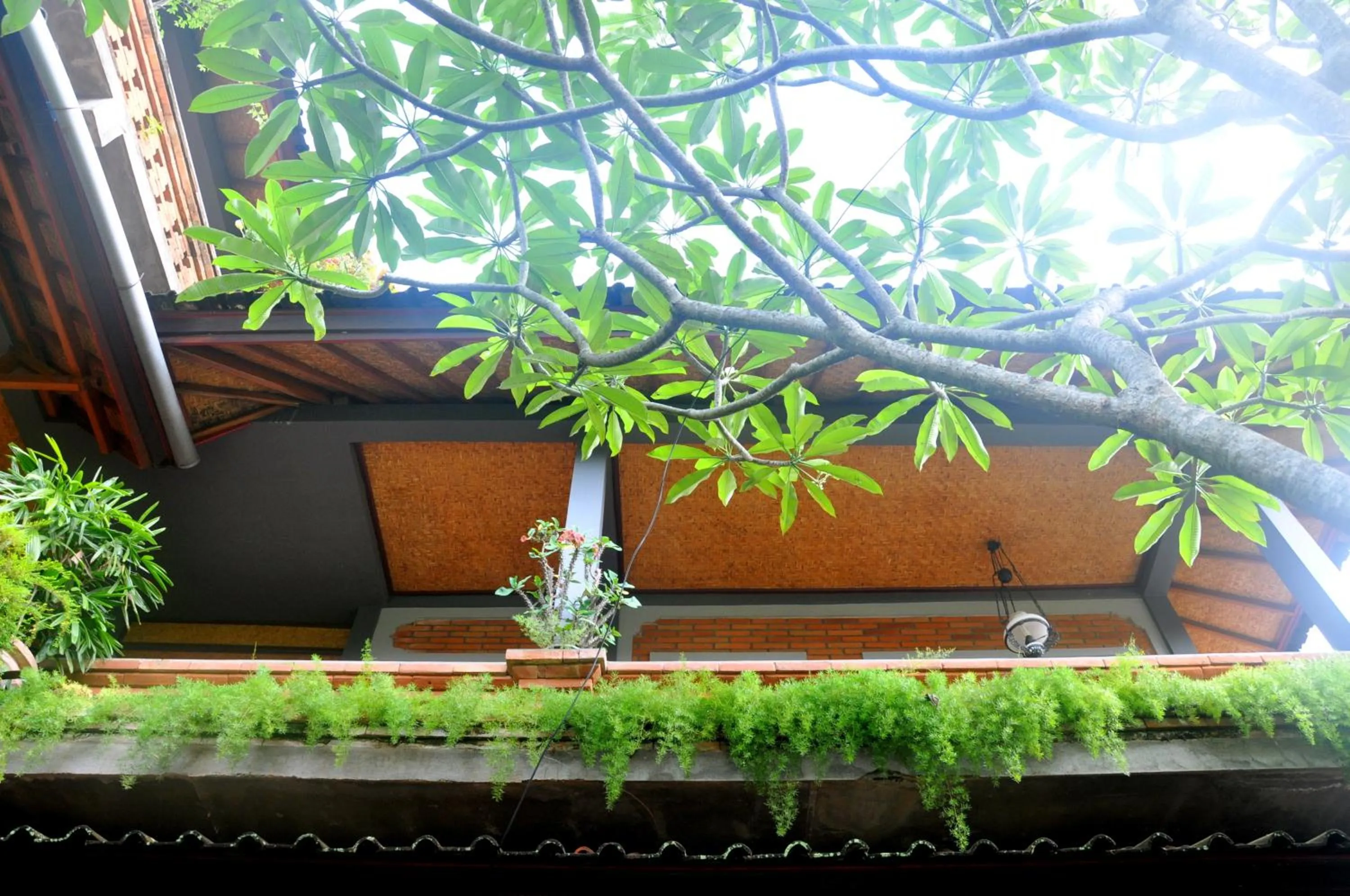 View (from property/room) in Candra Asri Bungalow! Free Early Check In, Great November Deal!