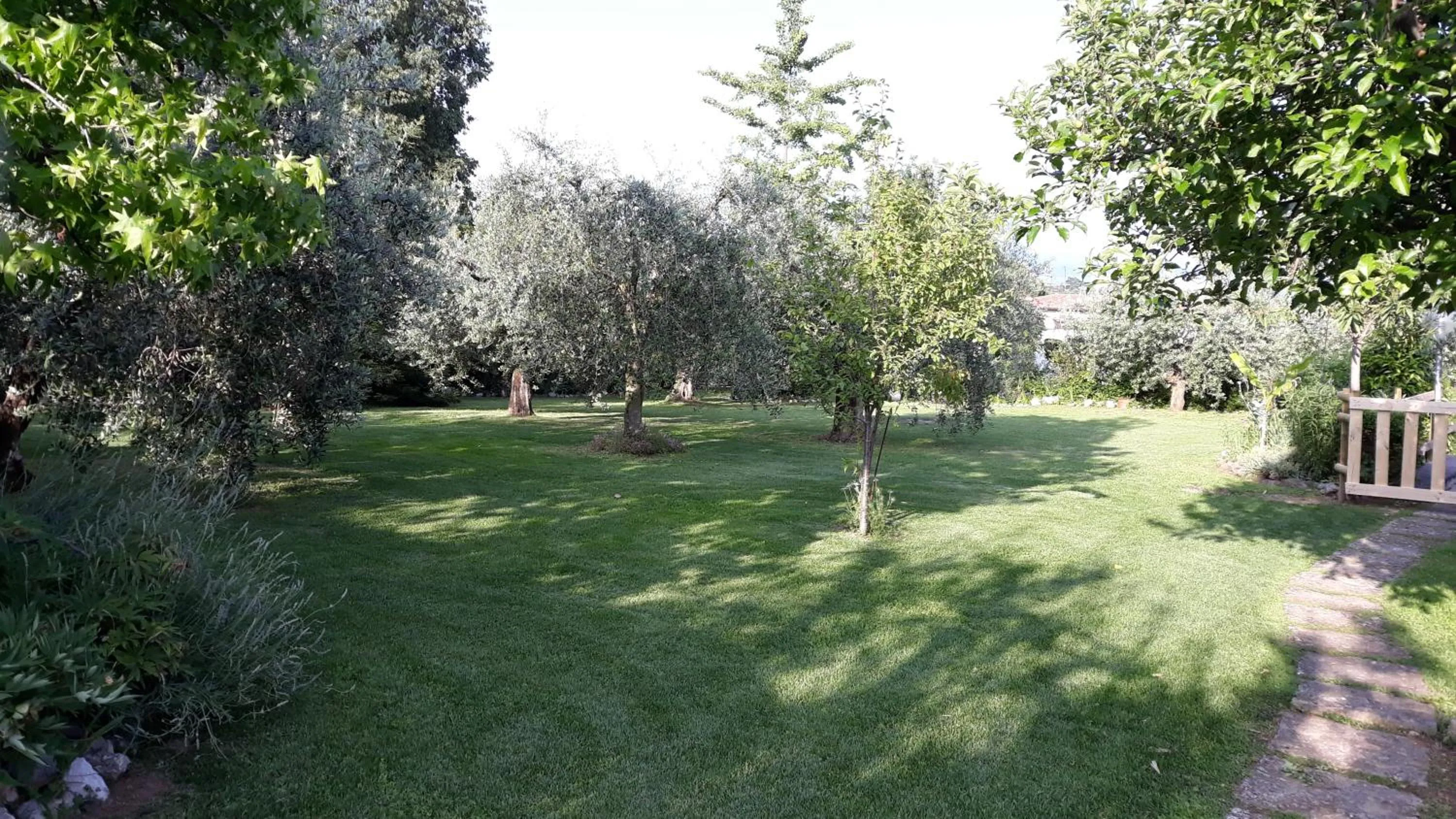 Garden view in El Rincon del Artista