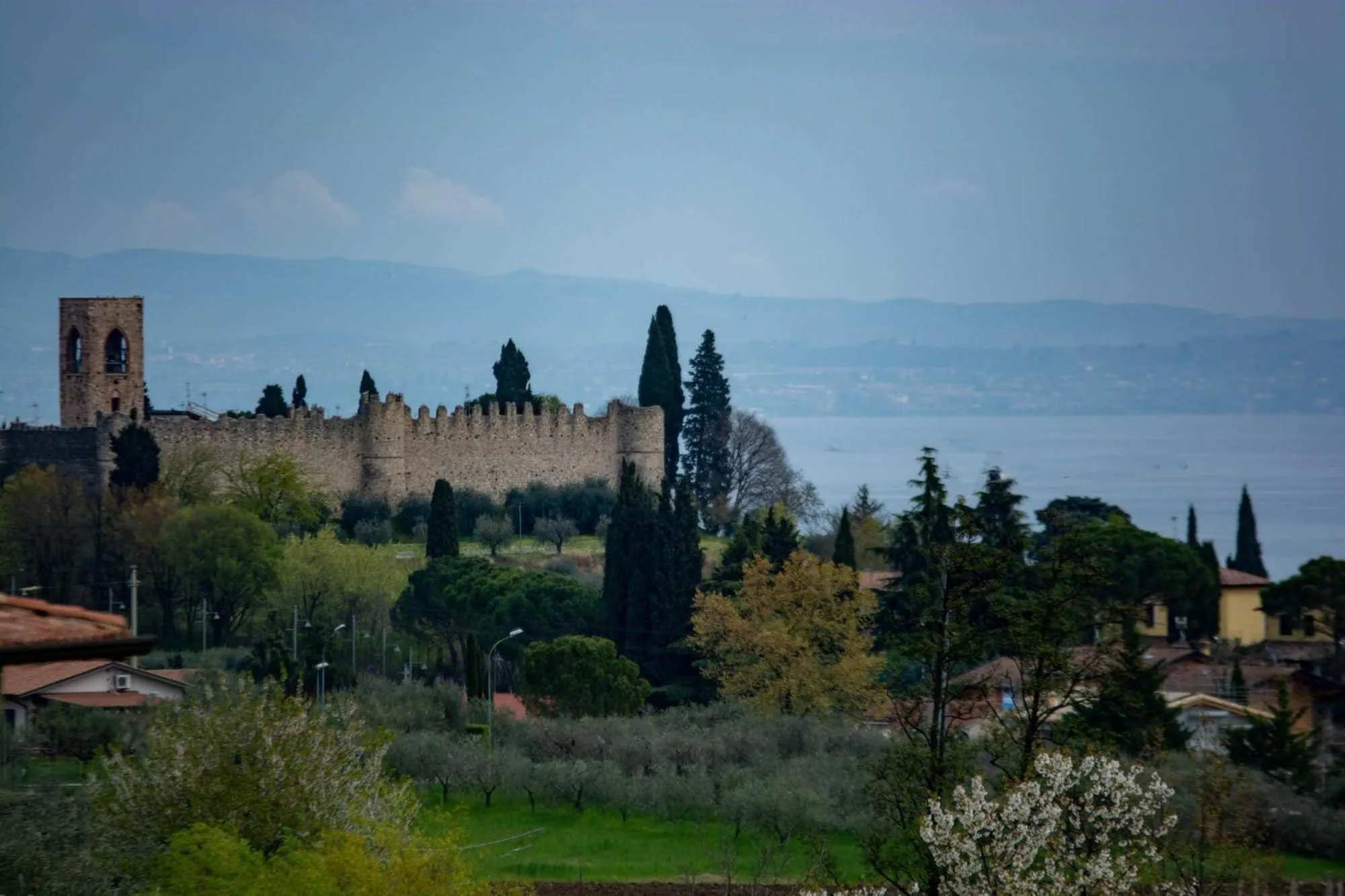 Property building in El Rincon del Artista