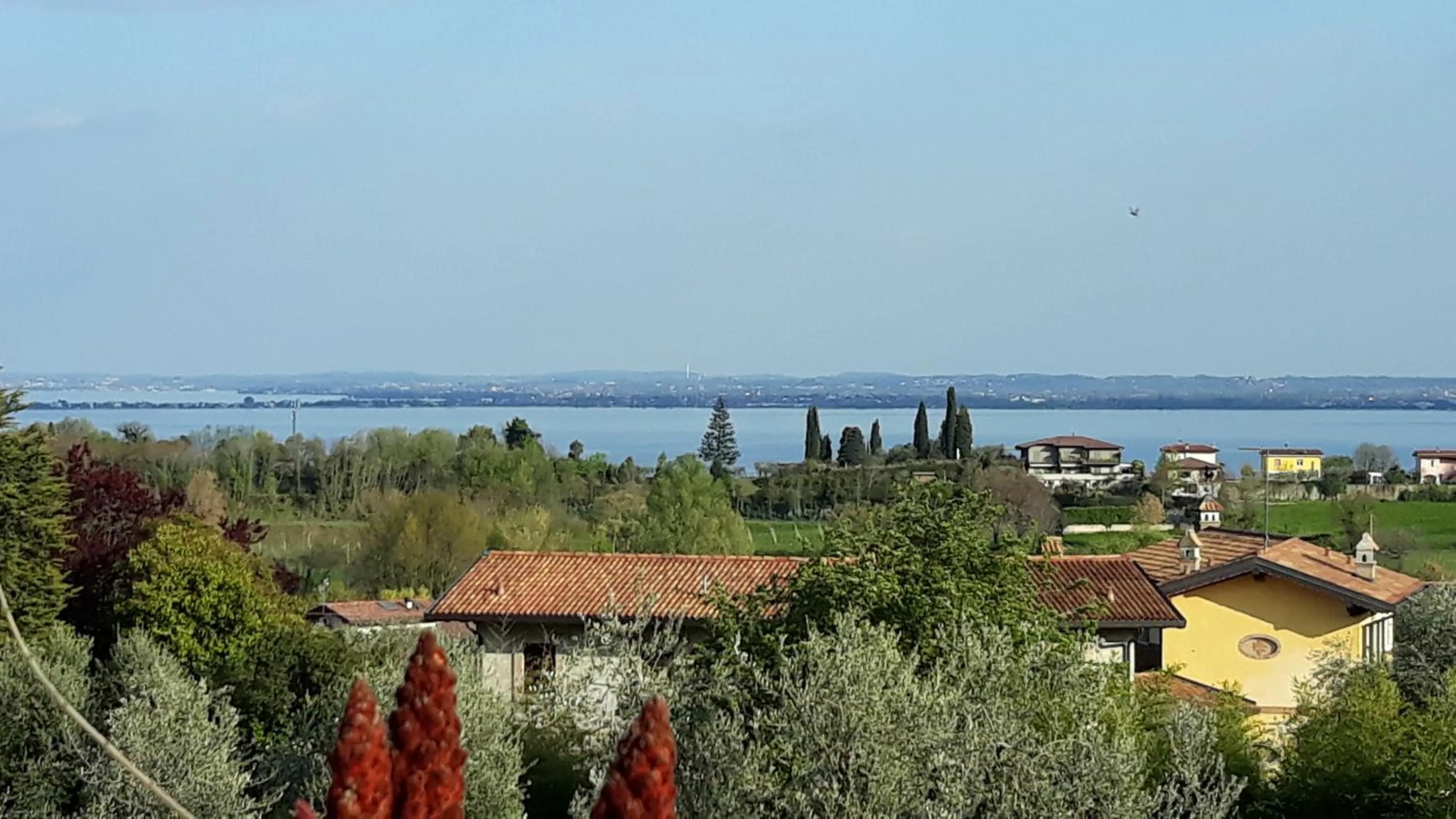 Lake view in El Rincon del Artista