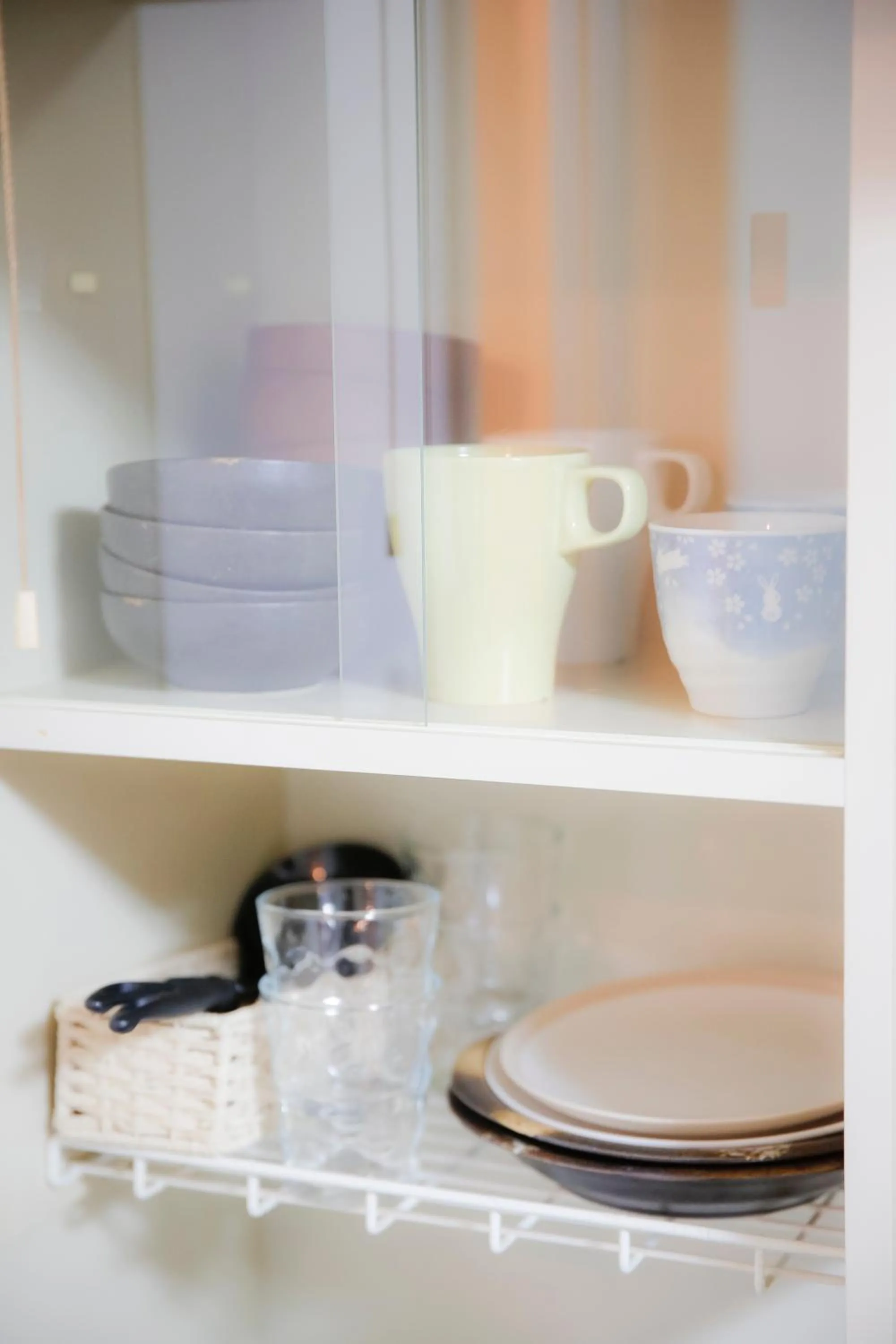 Exsaison Shirokita 107