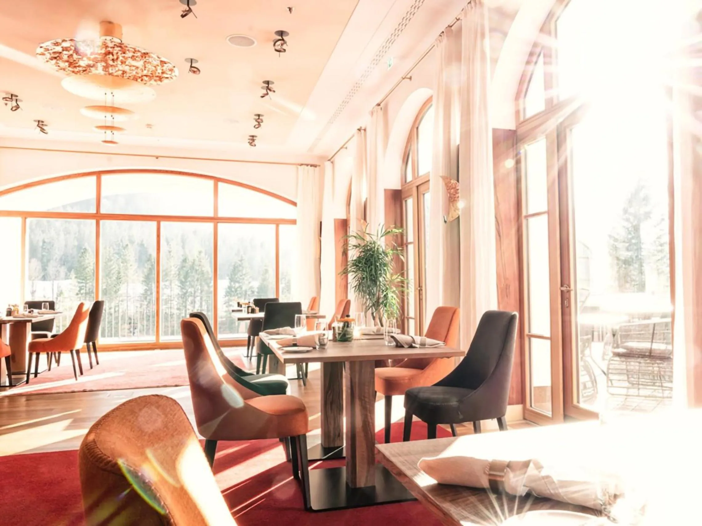 Restaurant/places to eat in Schloss Elmau Luxury Spa Retreat & Cultural Hideaway