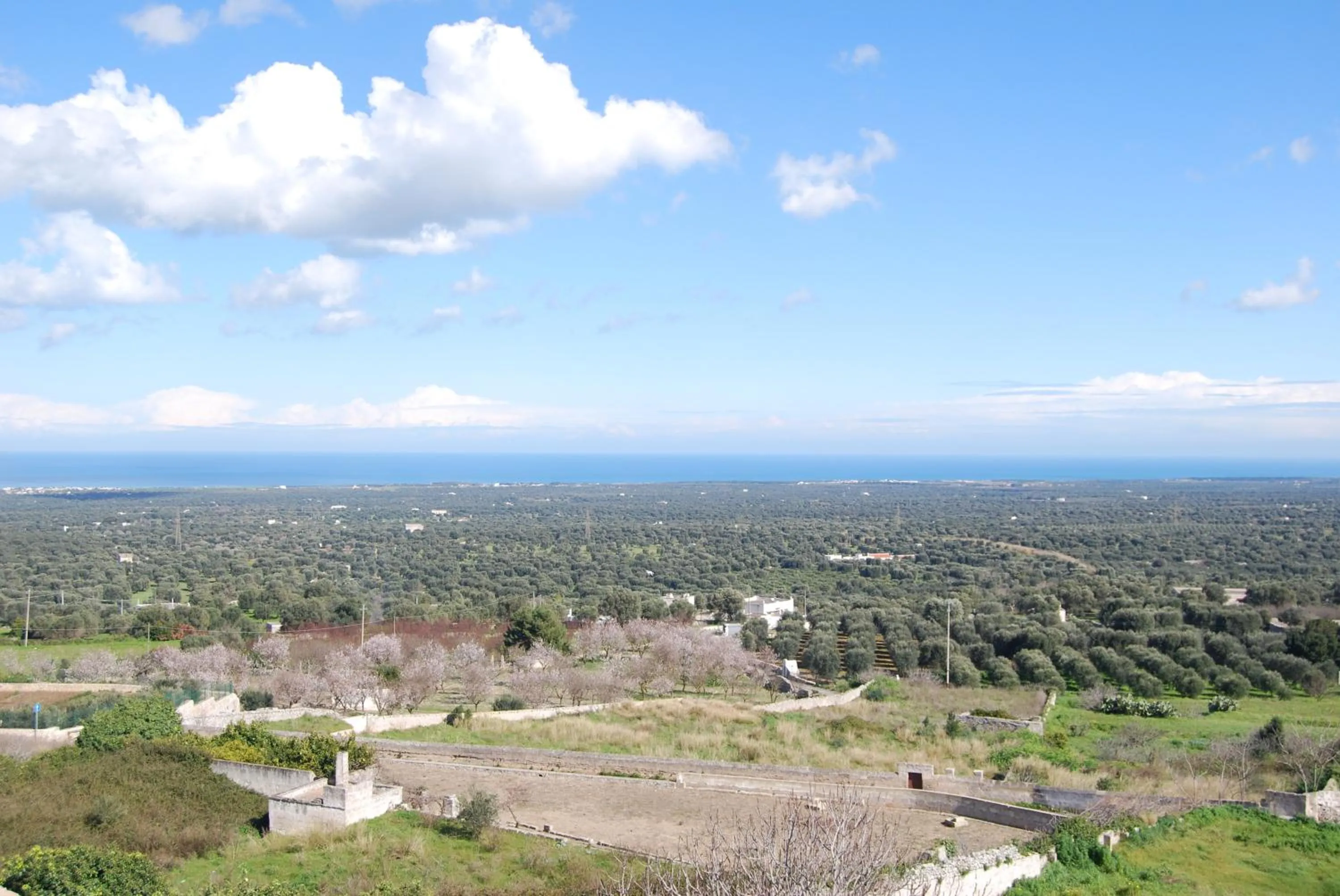 Balcony/Terrace in I 7 Archi Guest House