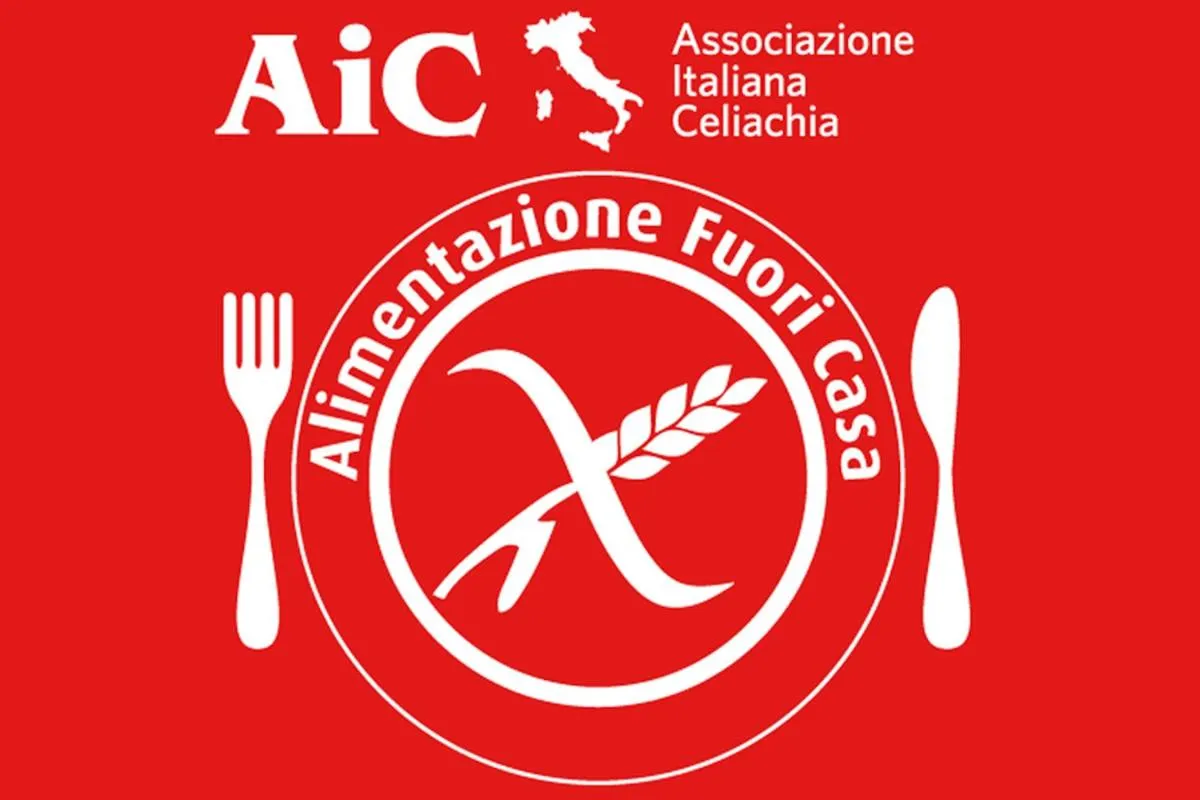 Restaurant/places to eat in Hotel Master