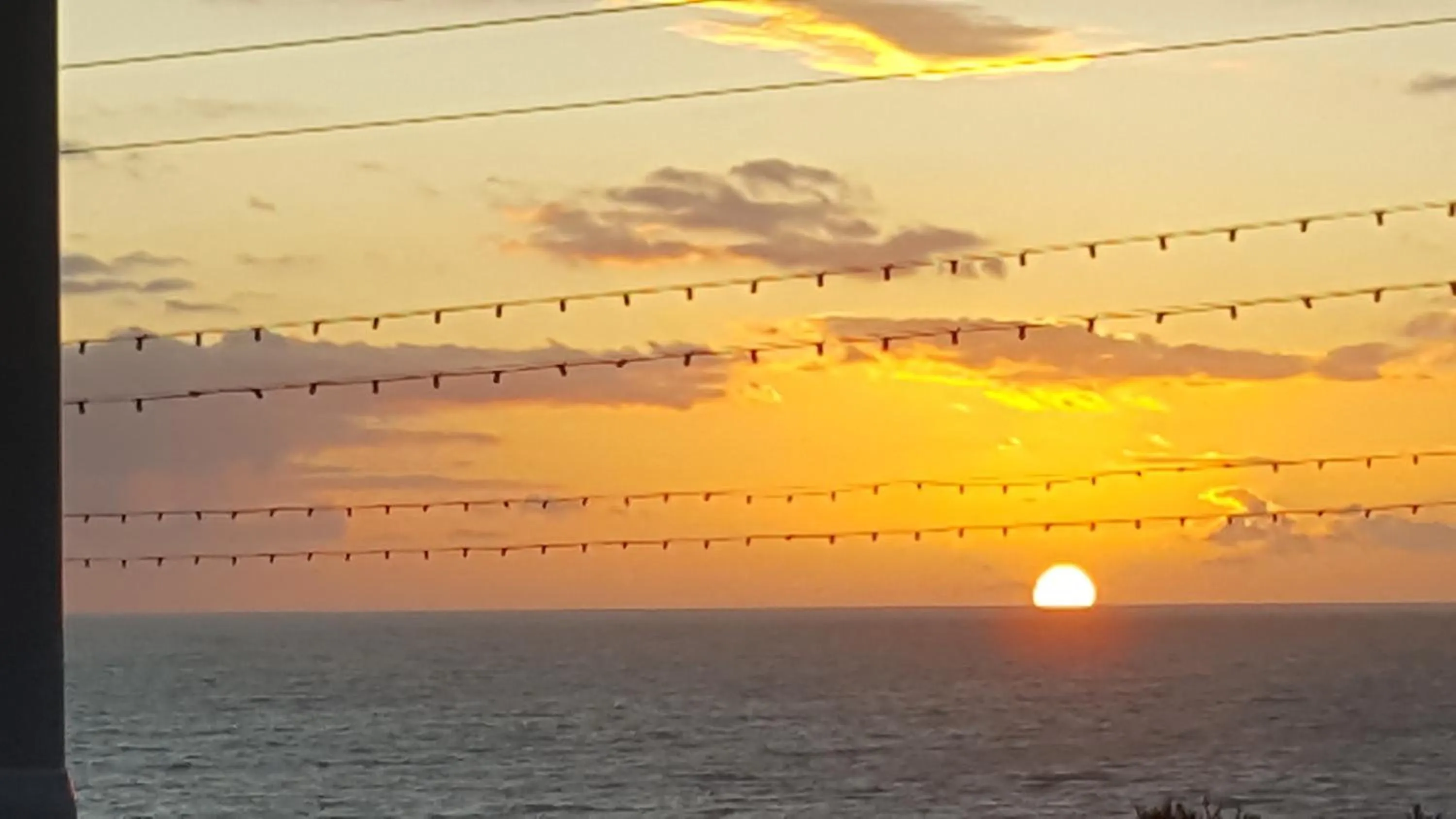 Balcony/Terrace in Maples Hotel