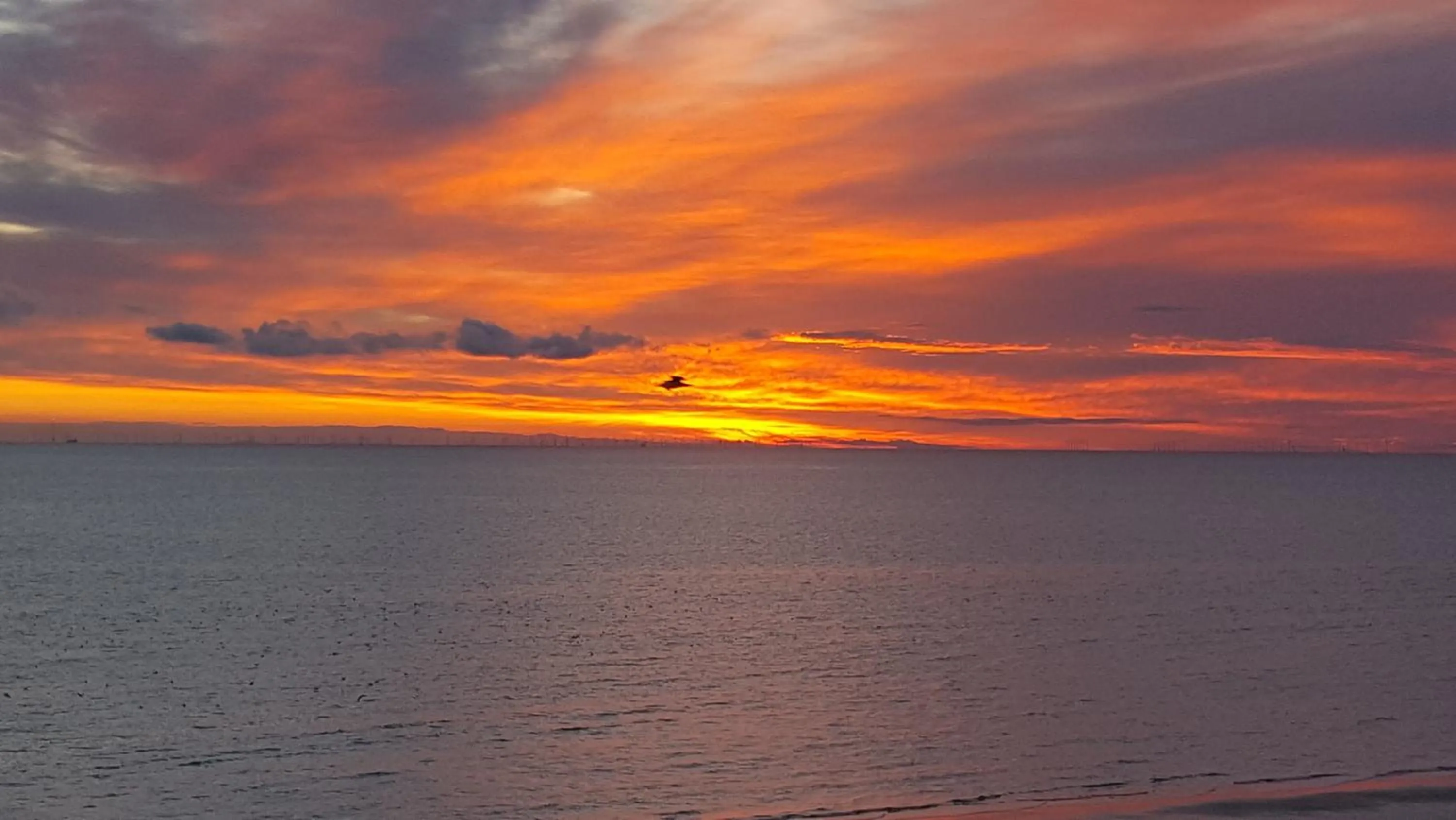 Balcony/Terrace in Maples Hotel