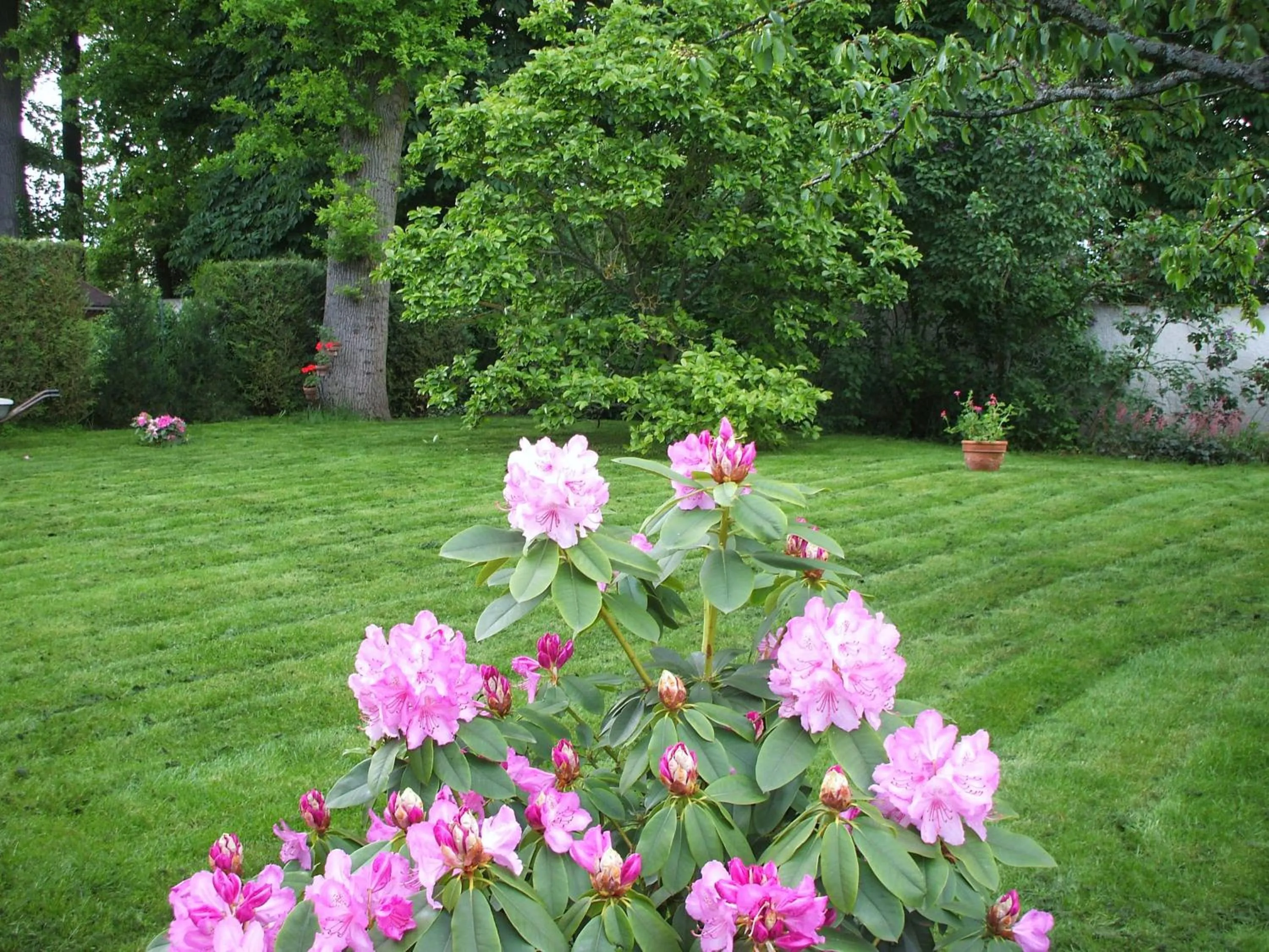 Day in Chambre d'Hôtes Quietude en Vallée de Chevreuse