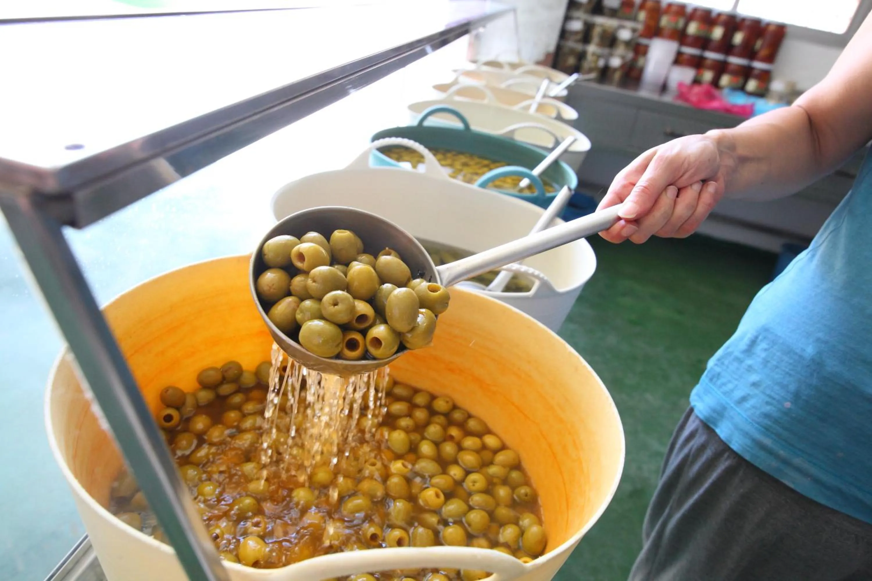 Area and facilities in Hostal Campo Real Bed&Breakfast