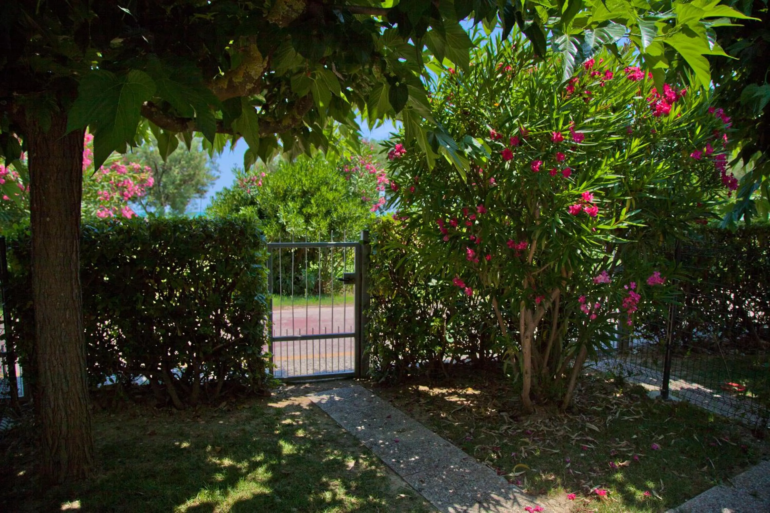 Garden in Residence Casabianca
