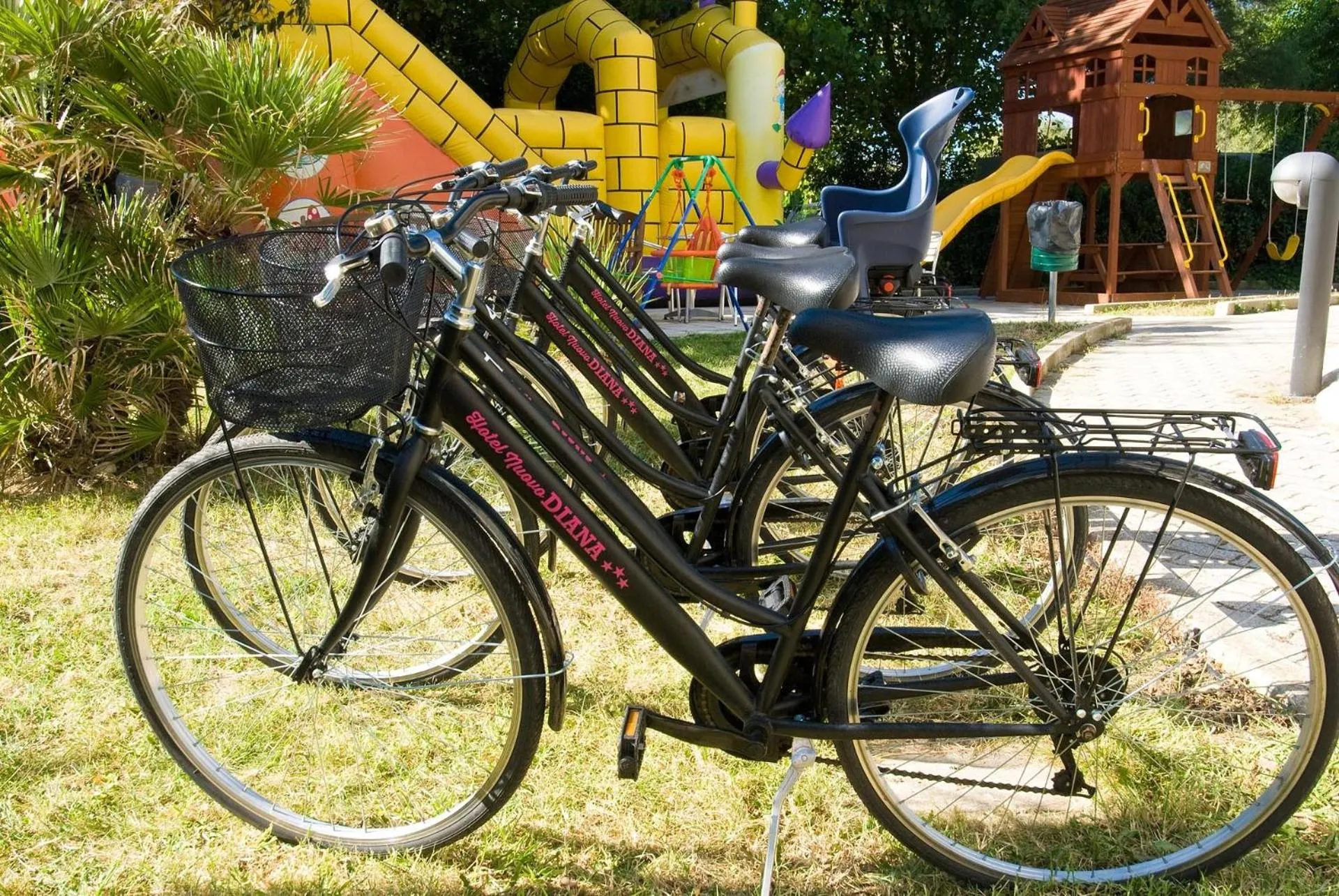 Other in Hotel Nuovo Diana