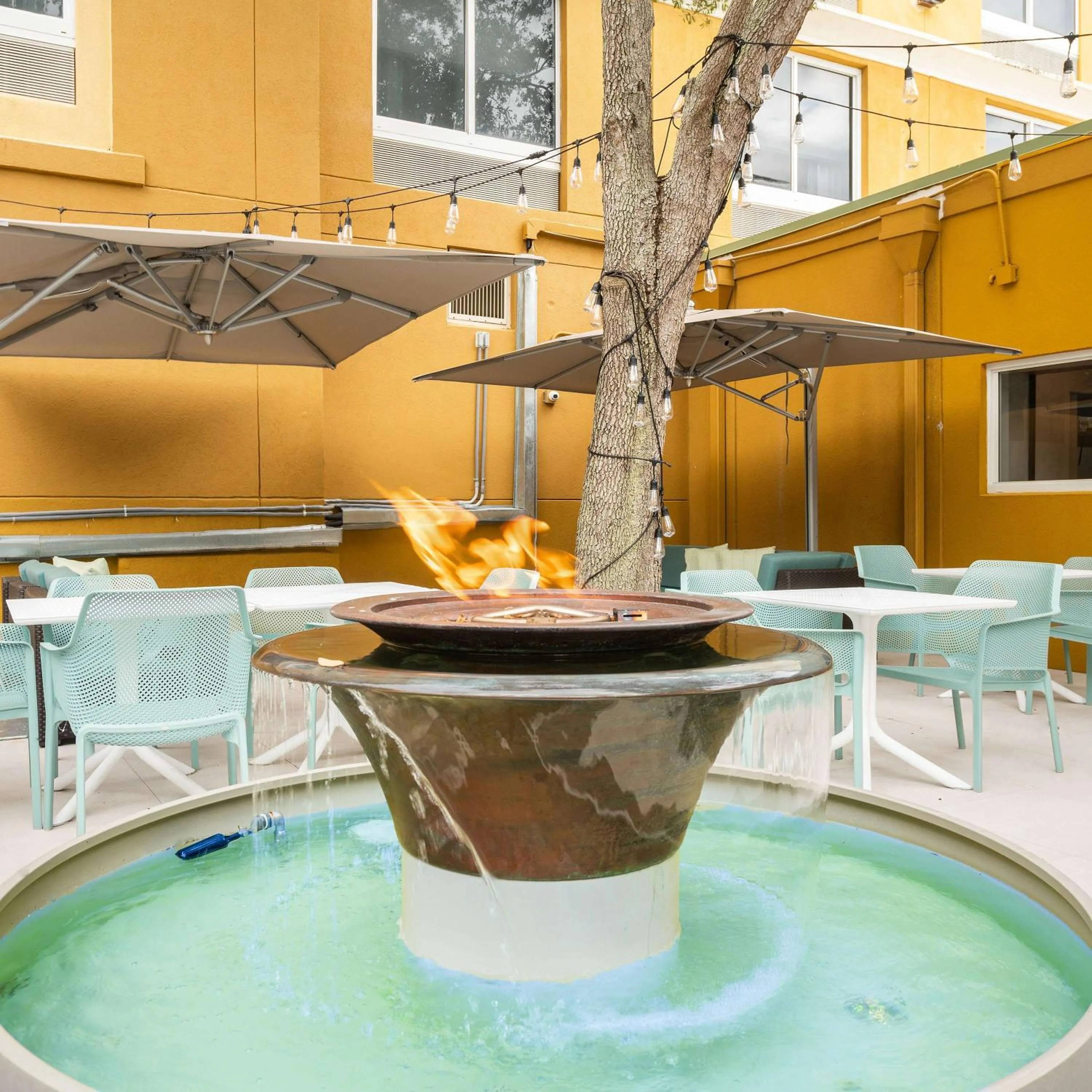 Garden in Hilton Garden Inn Ft. Lauderdale Airport-Cruise Port