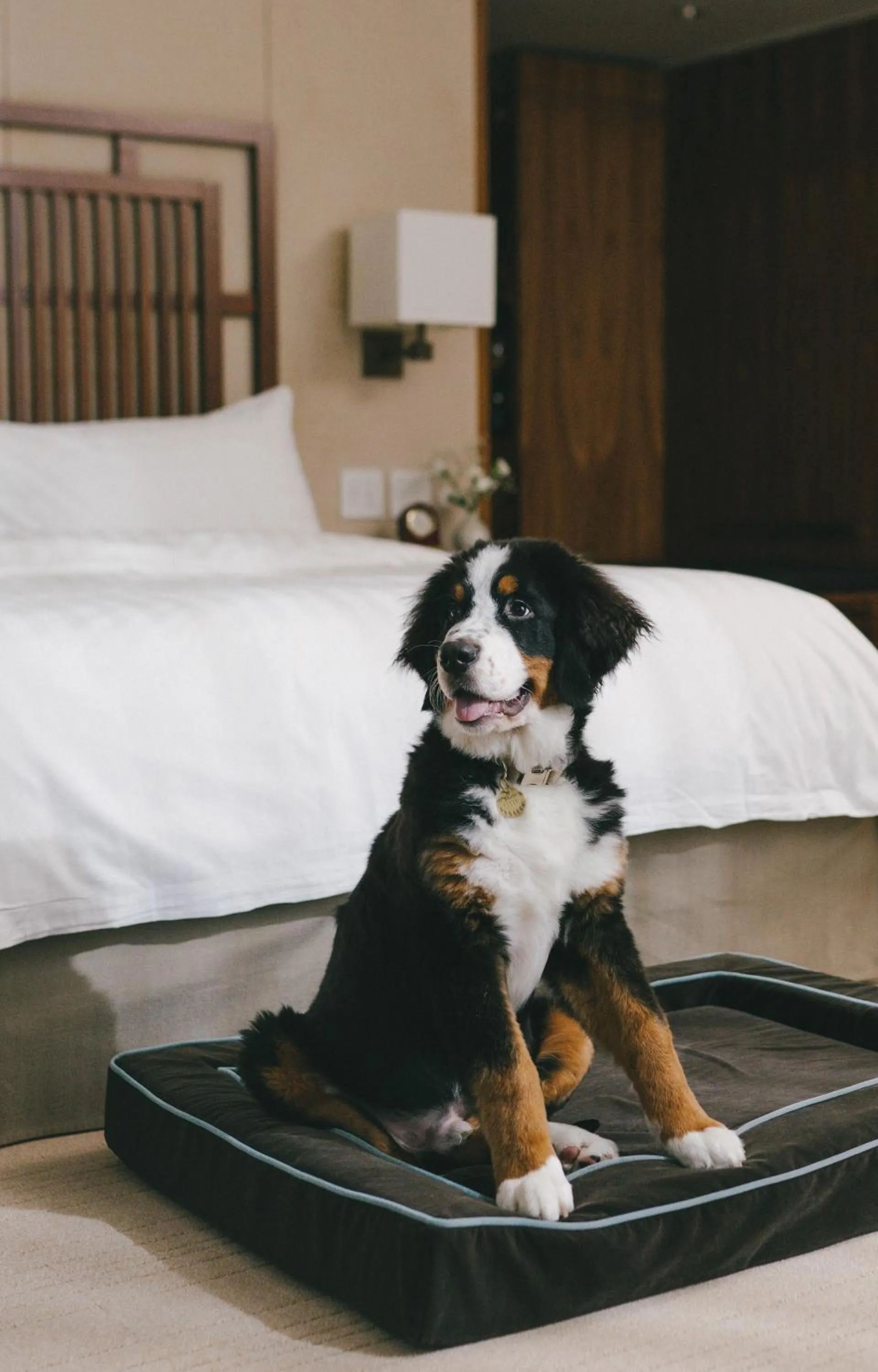 Bed in Shangri-La Vancouver