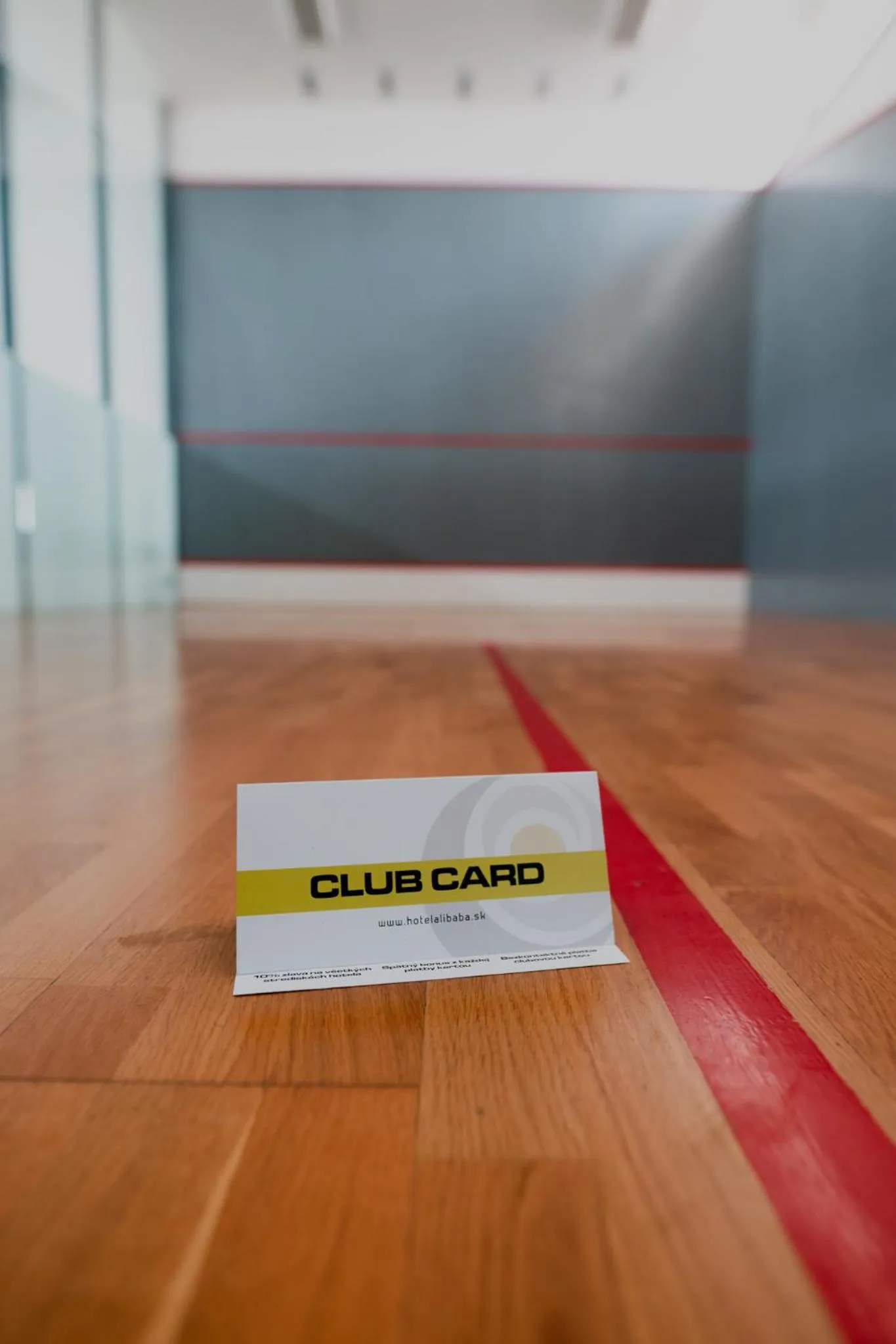 Squash in Hotel Alibaba