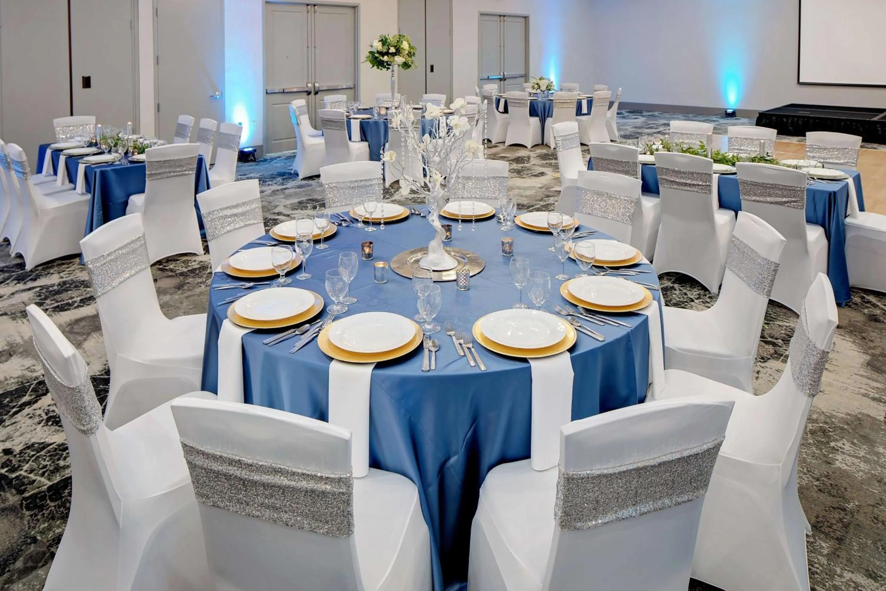 Meeting/conference room in Hilton Garden Inn DFW Airport South