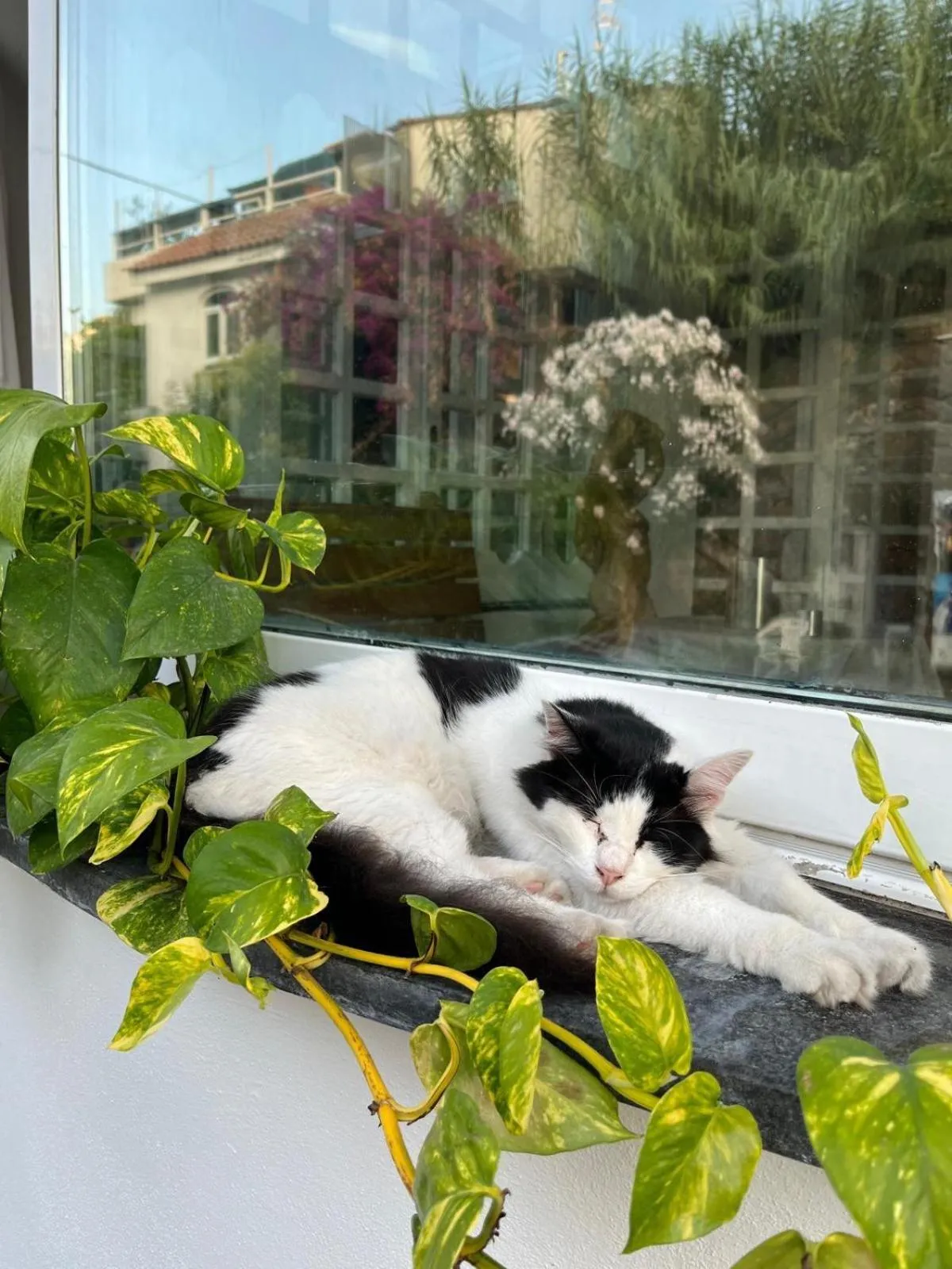 Balcony/Terrace in Hotel la Maggioressa
