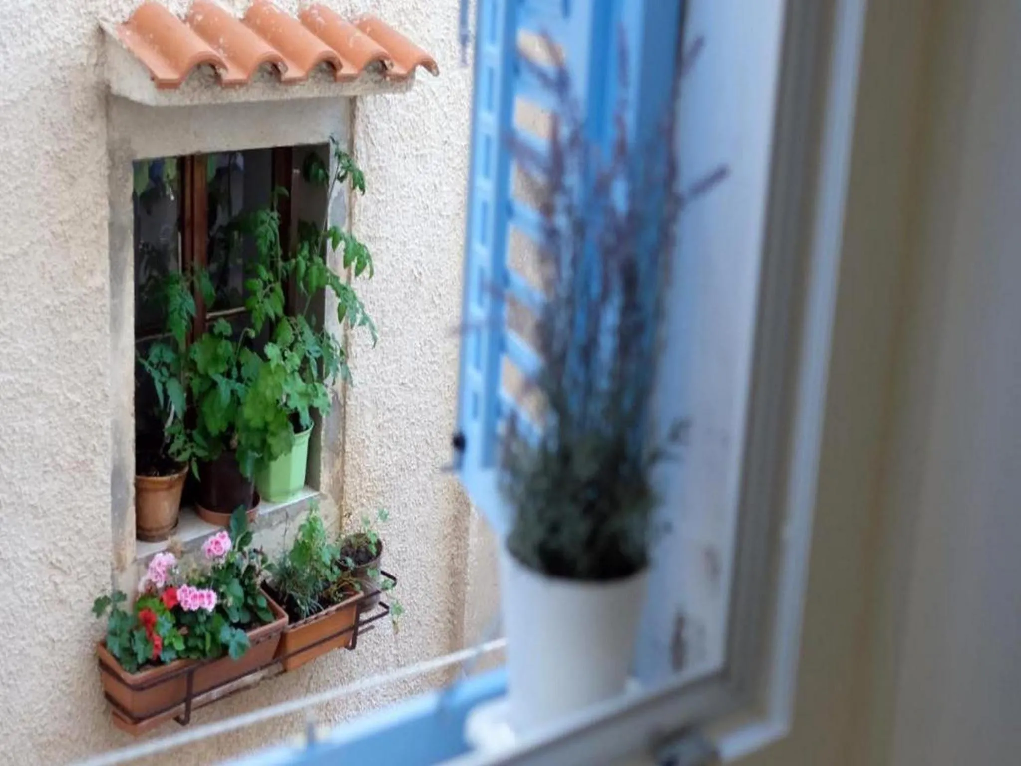 Property building in Apartments Blue Lavender