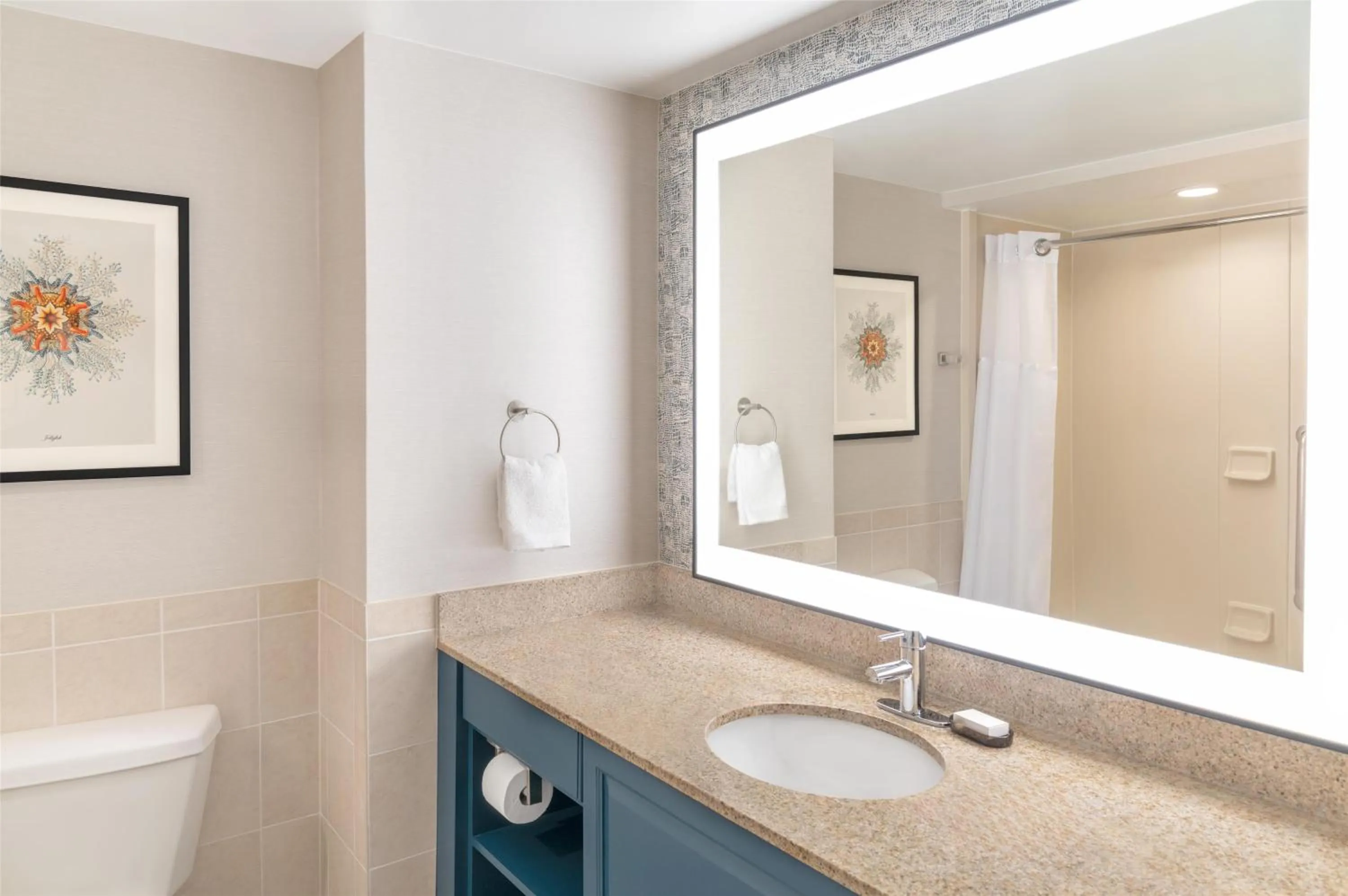 Bathroom in Embassy Suites Fort Myers - Estero