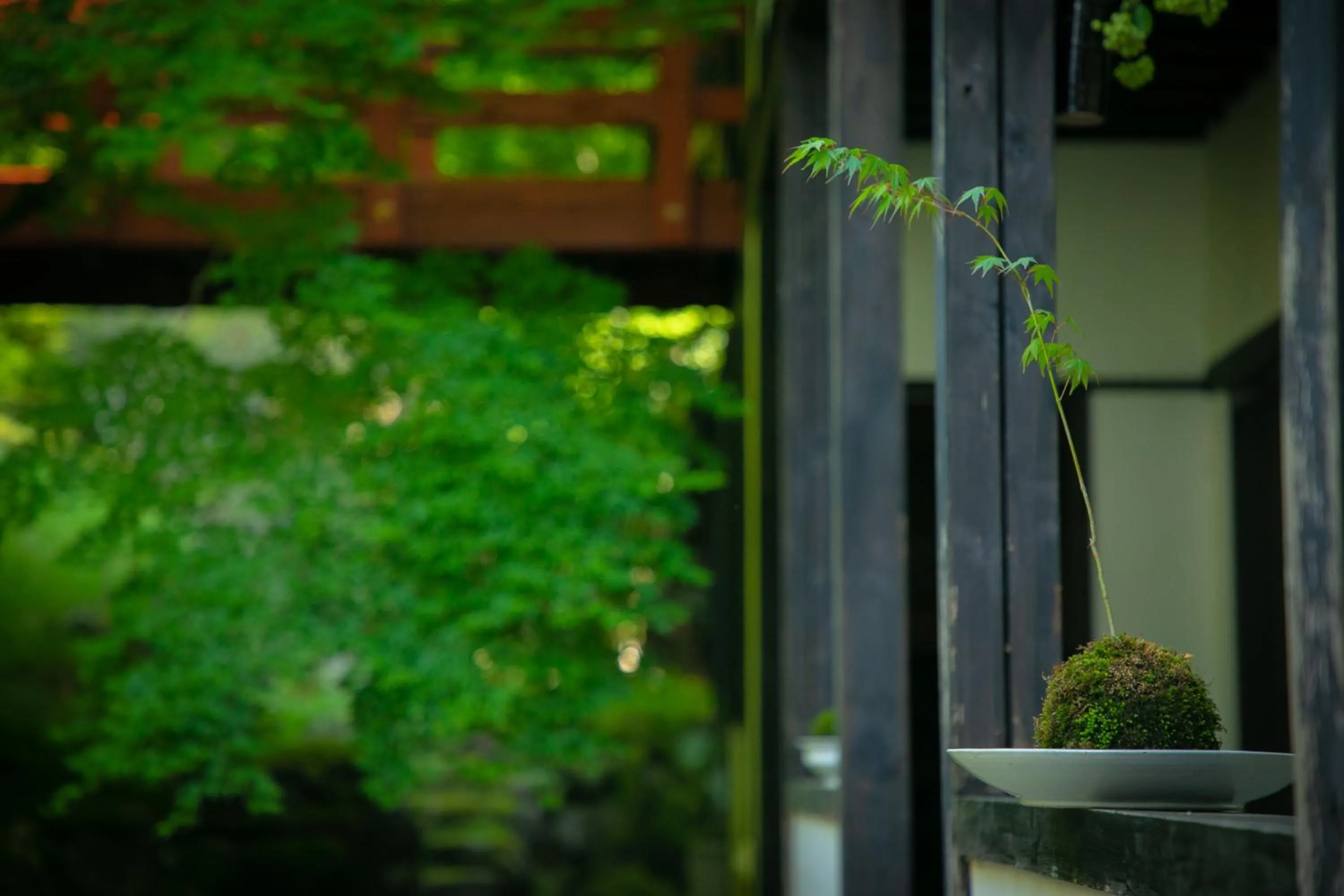 Garden in Yumoto Ueyama Ryokan