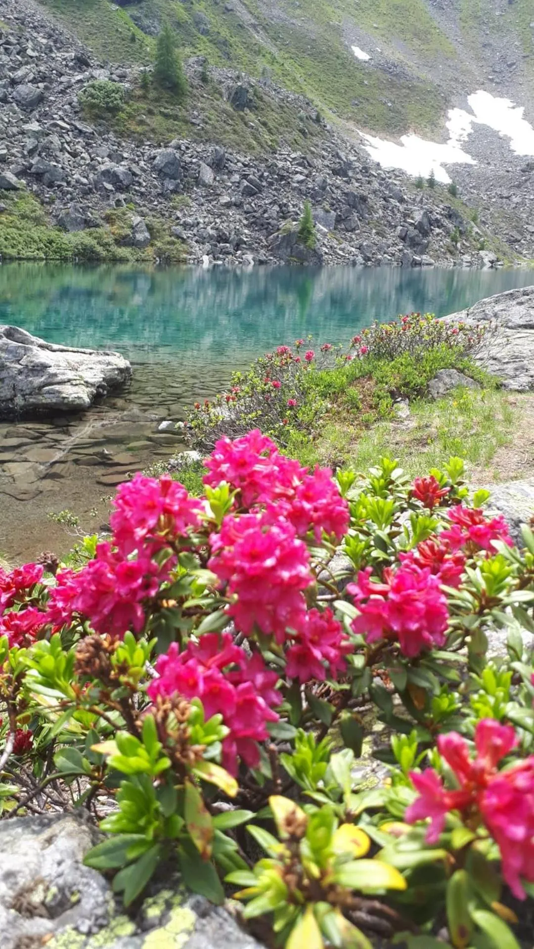 Natural landscape in Haus Bödele