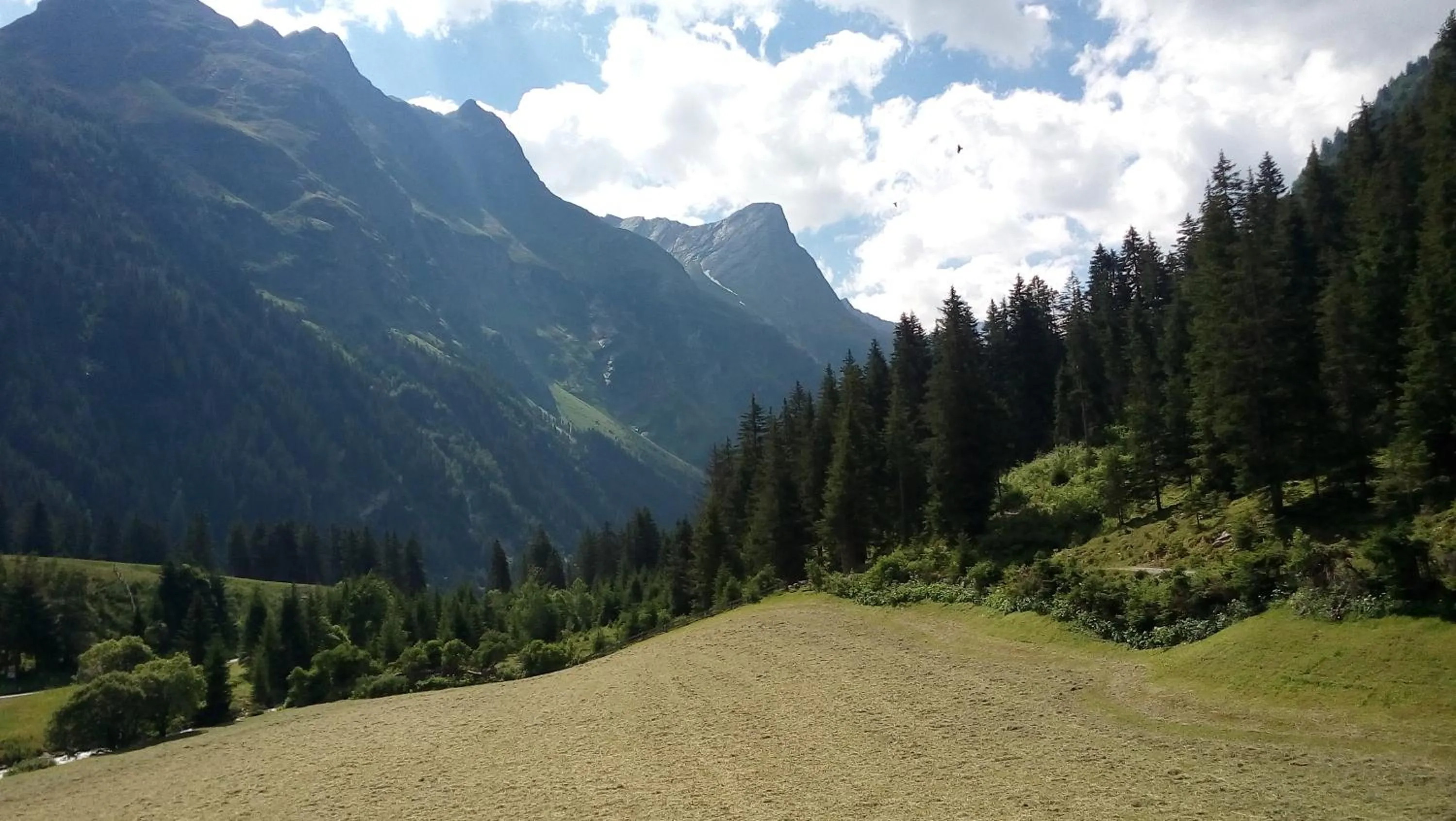 Natural landscape in Haus Bödele