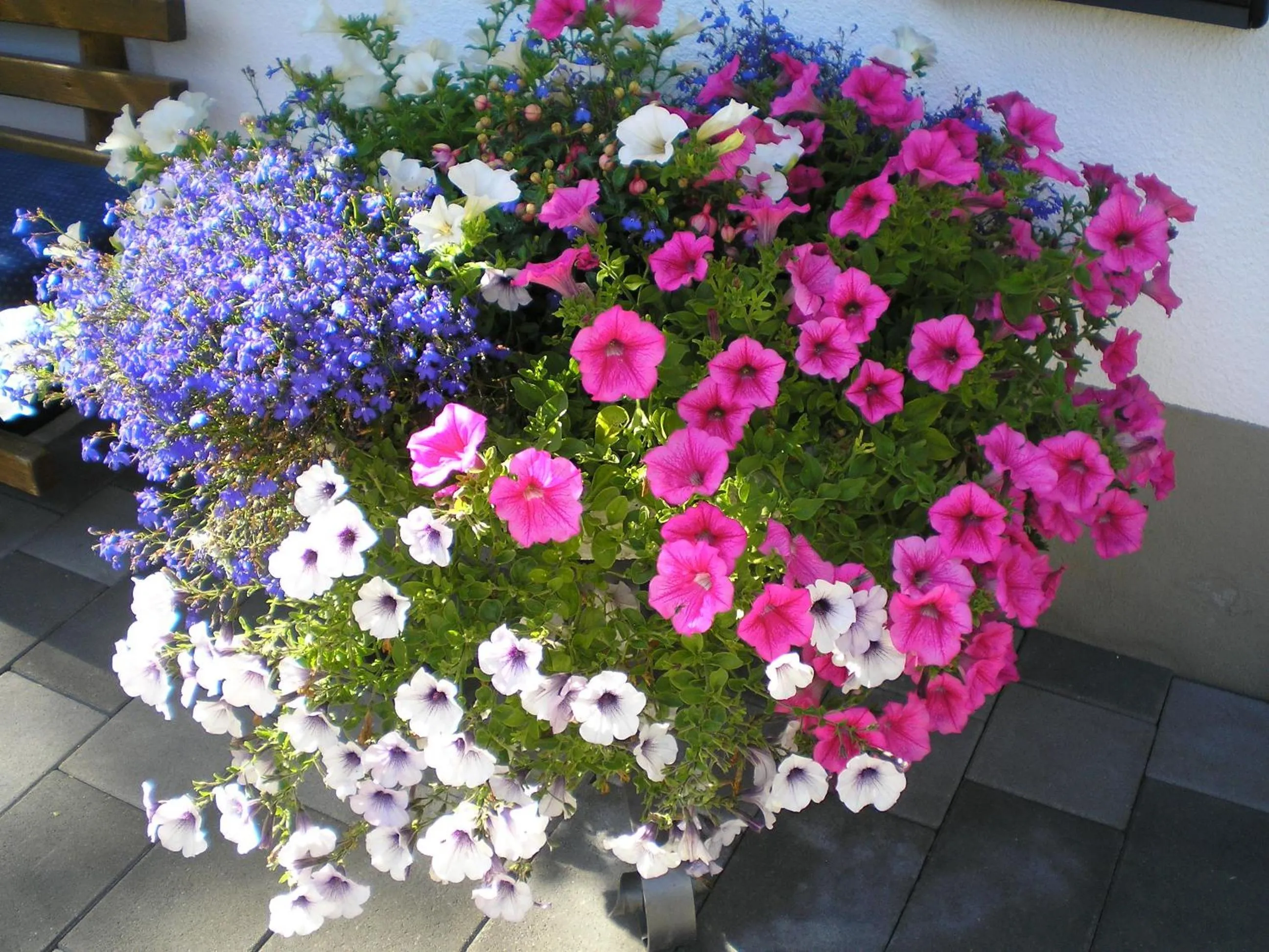 Spring in Haus Bödele