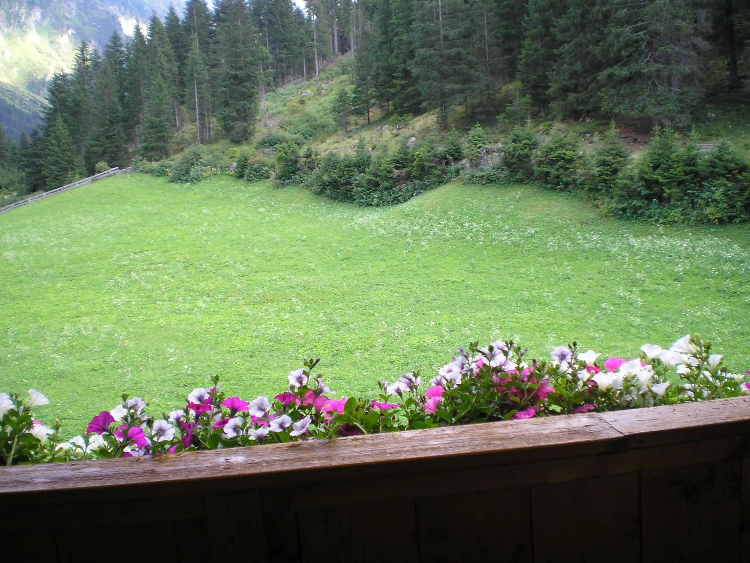Balcony/Terrace in Haus Bödele