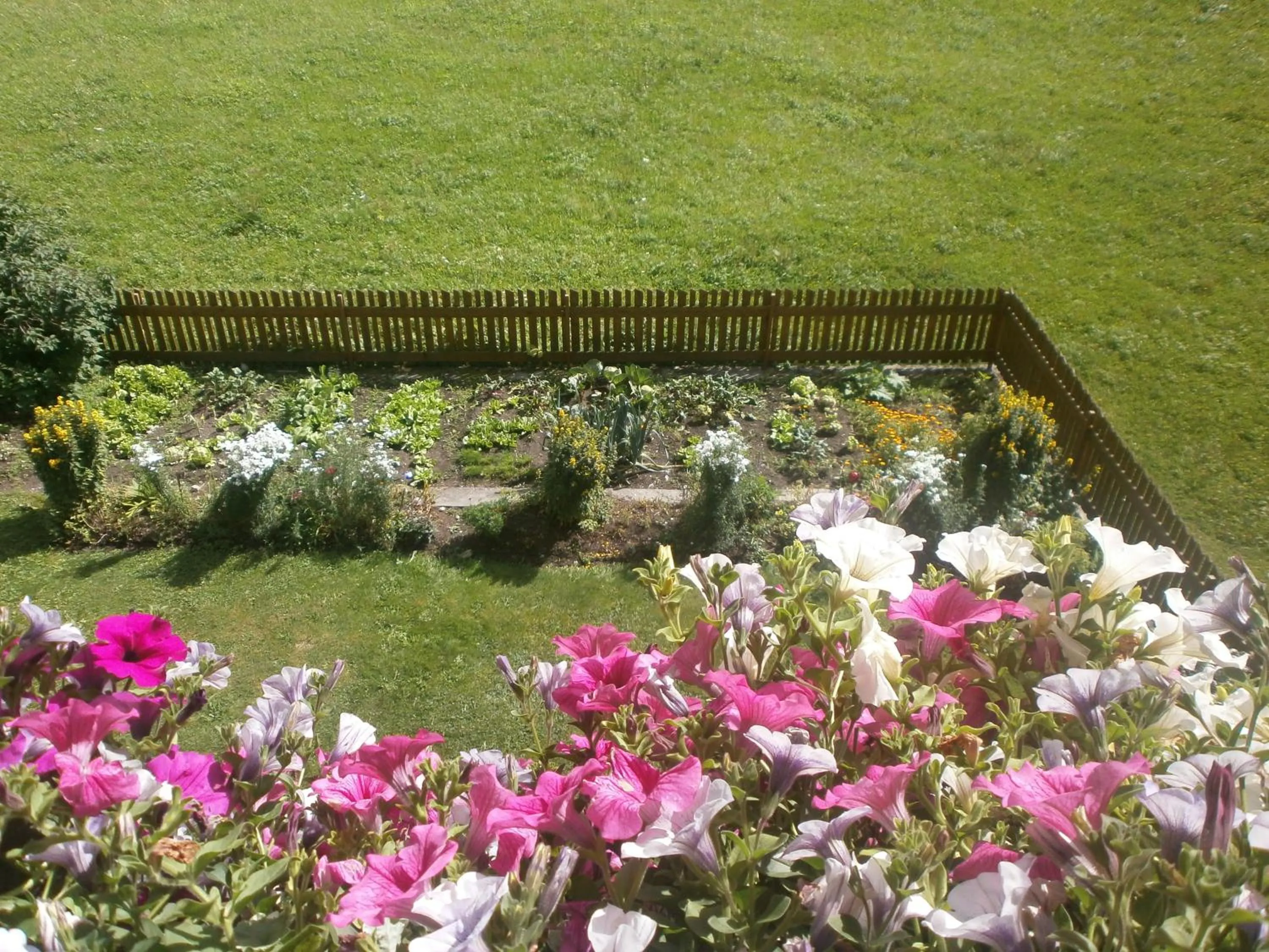 Garden in Haus Bödele