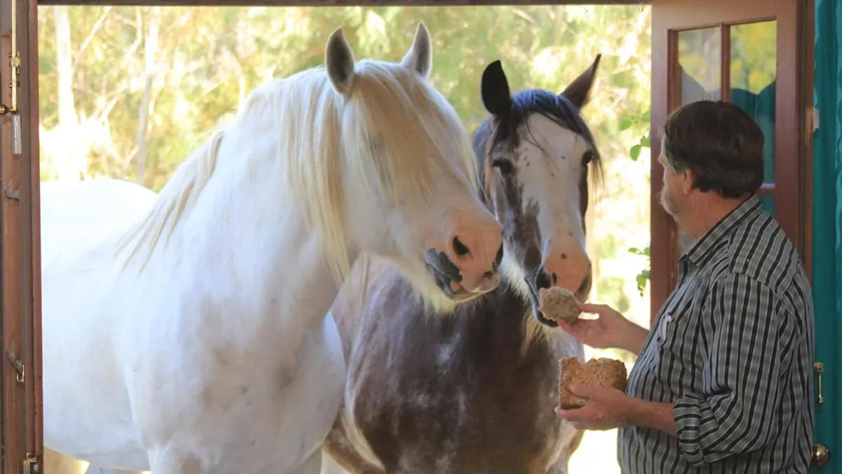 Property building in Hatchers Richmond Manor