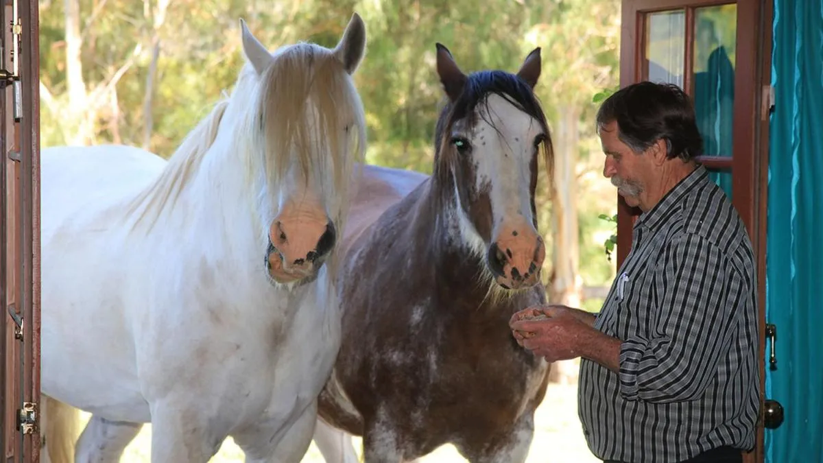 Hatchers Richmond Manor