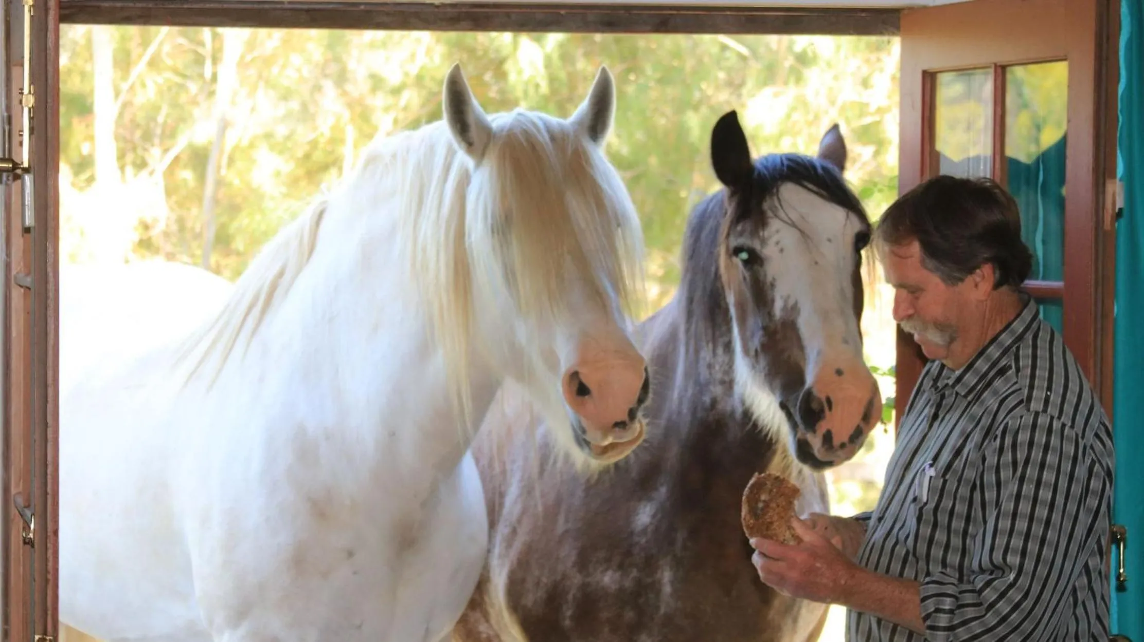 Hatchers Richmond Manor