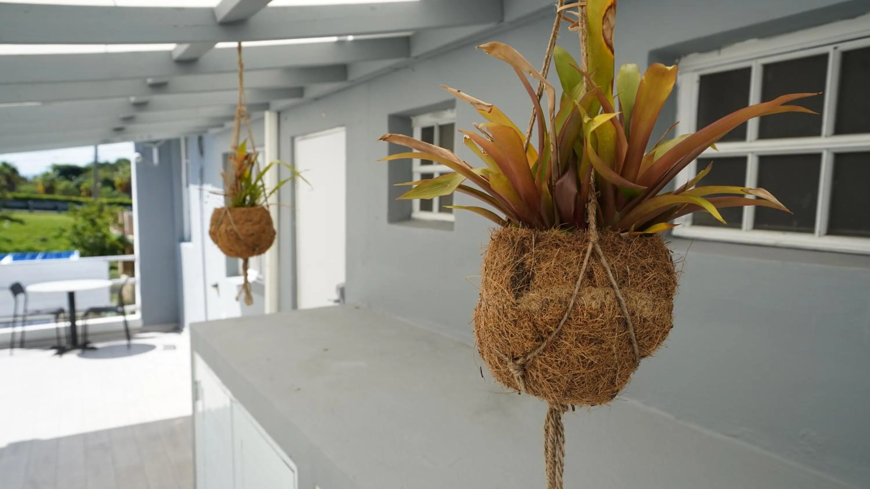 Garden in The Pelican Poshtel