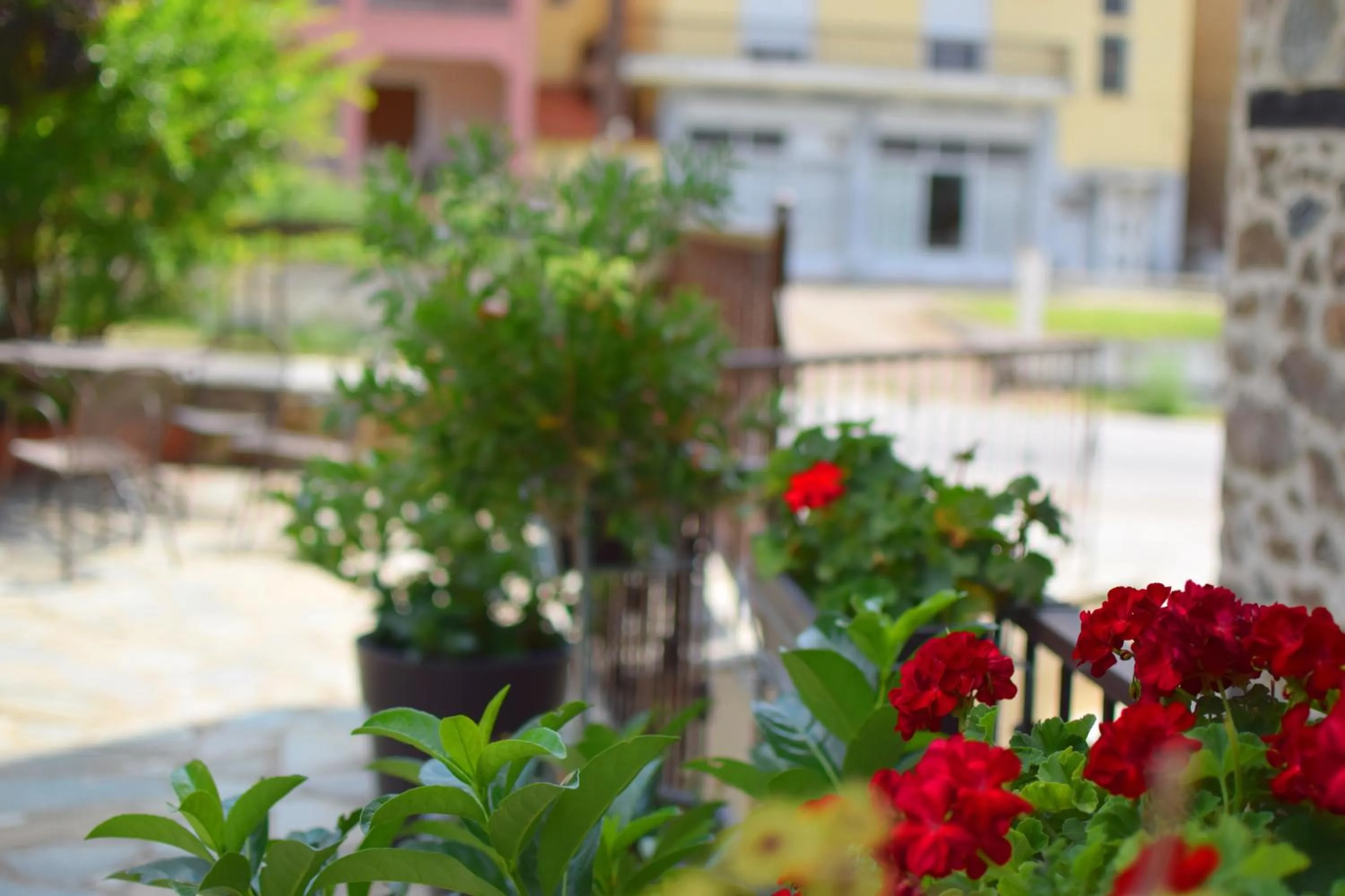 Garden in Hotel Nostos Kastoria