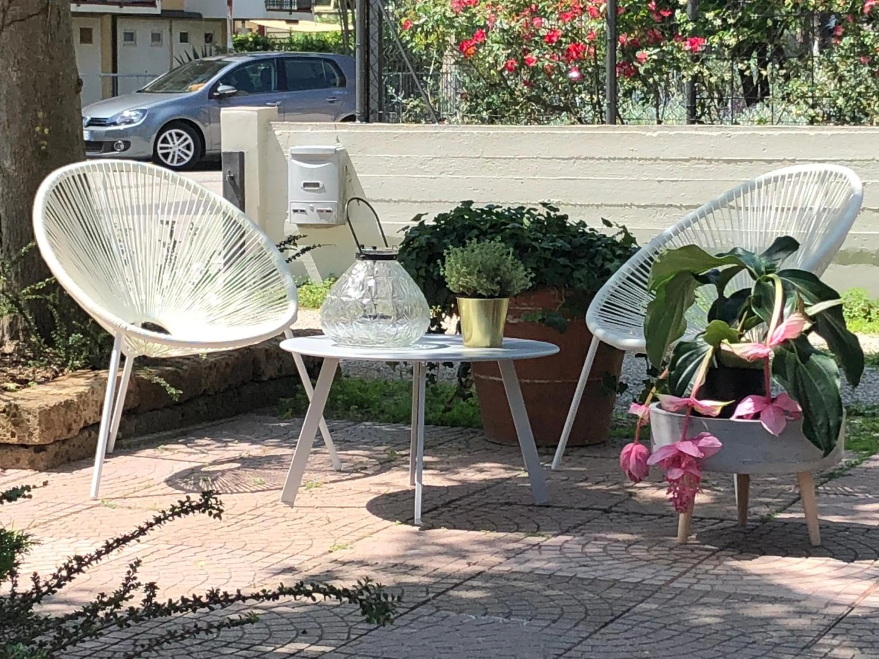 Garden in Hotel Aplo - Breakfast Experience