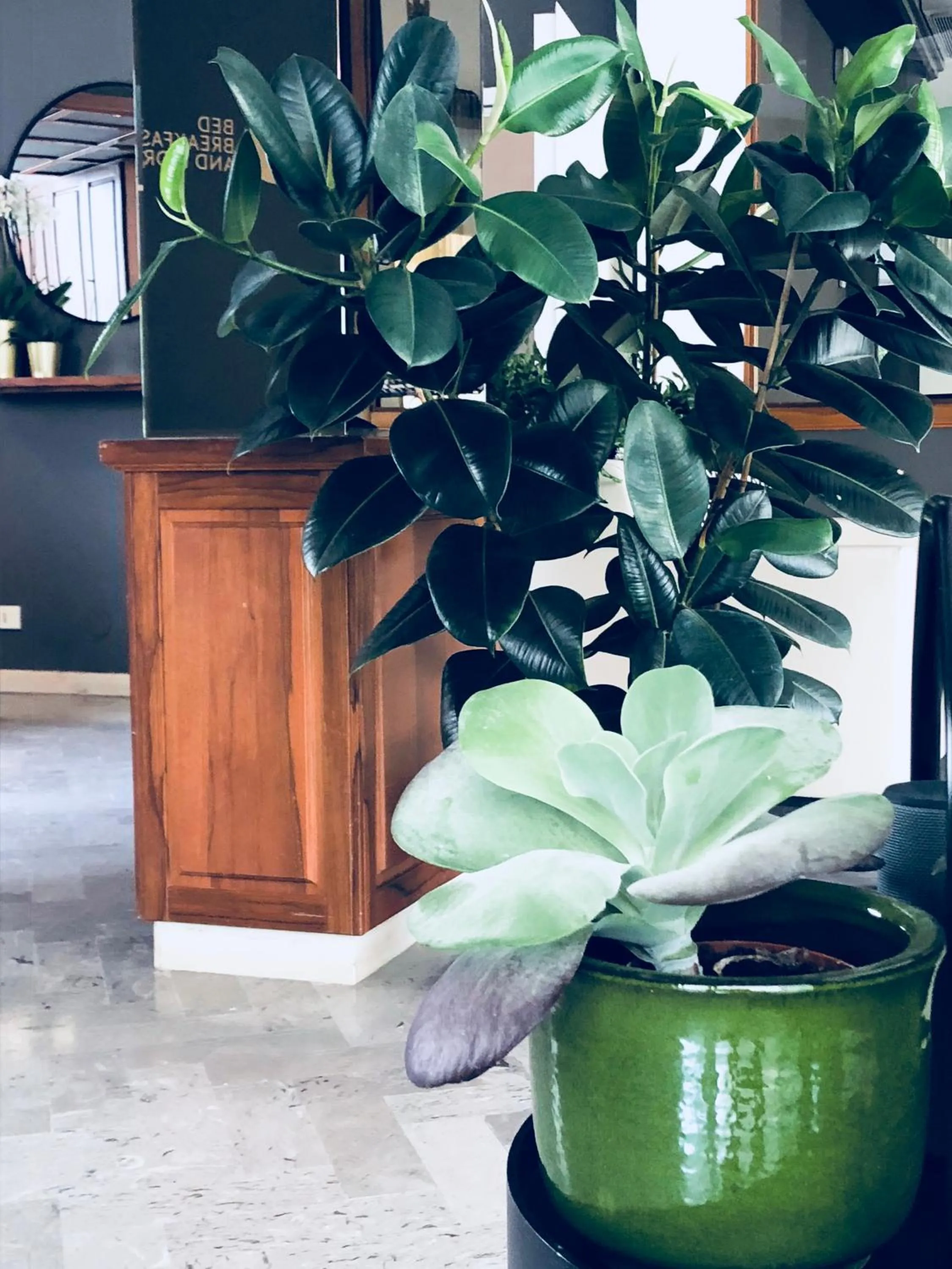 Facade/entrance in Hotel Aplo - Breakfast Experience