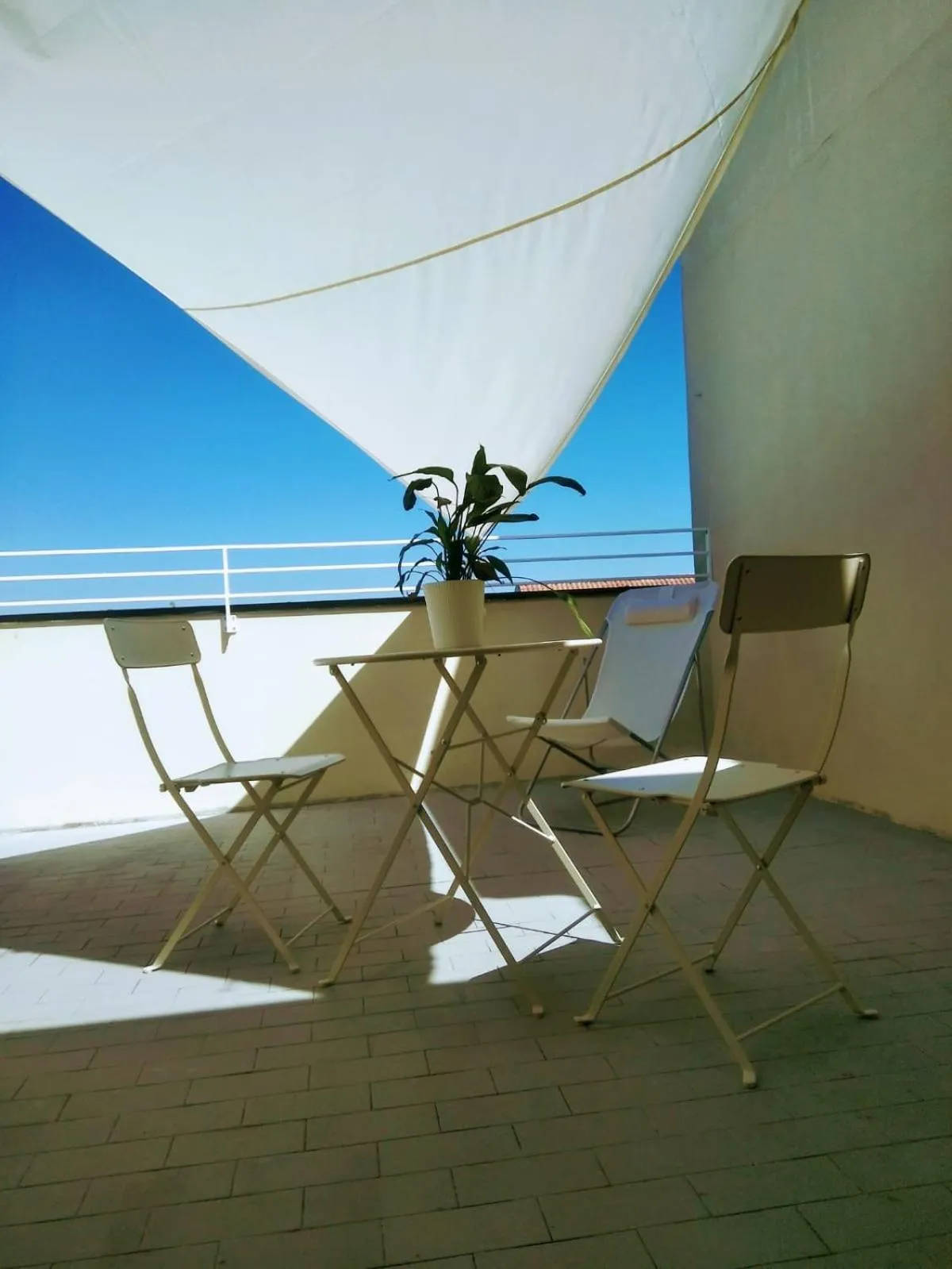 Balcony/Terrace in Hotel Aplo - Breakfast Experience