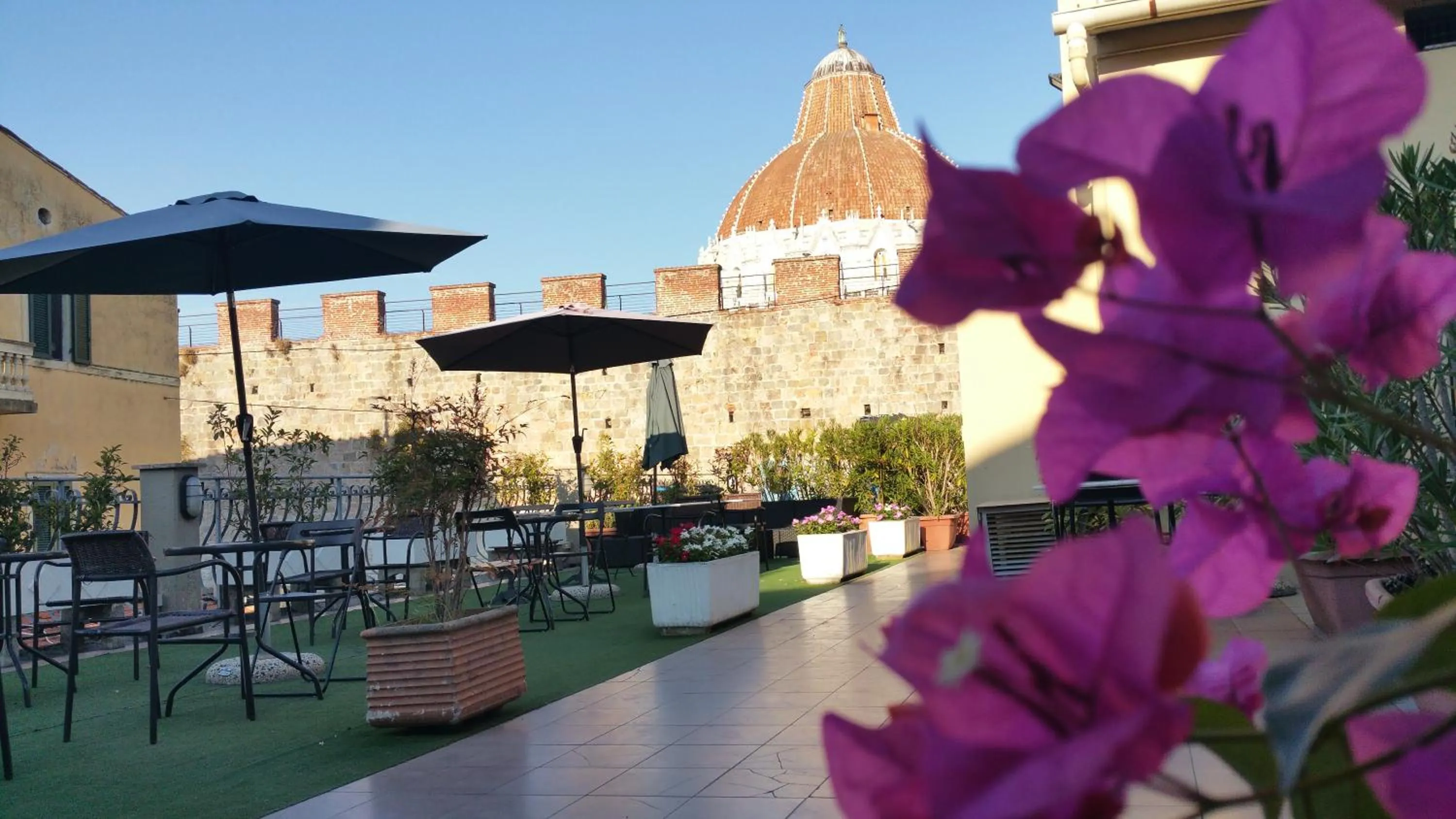 Garden in Hotel Il Giardino