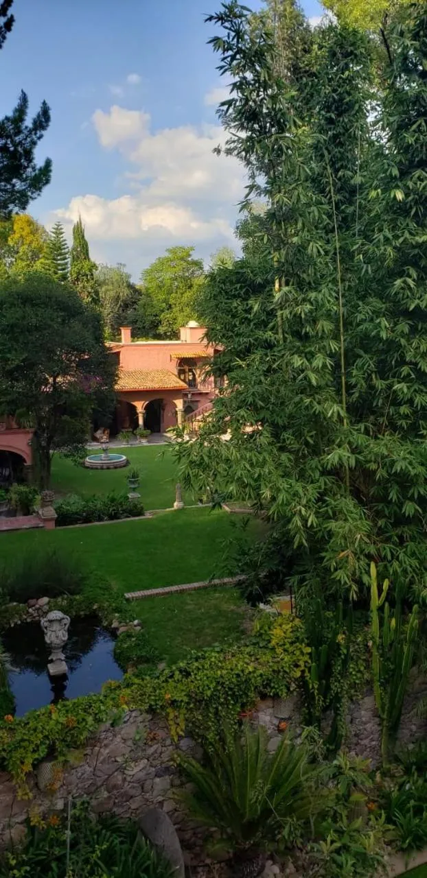 Garden view in Tres Fuentes Hotel Boutique