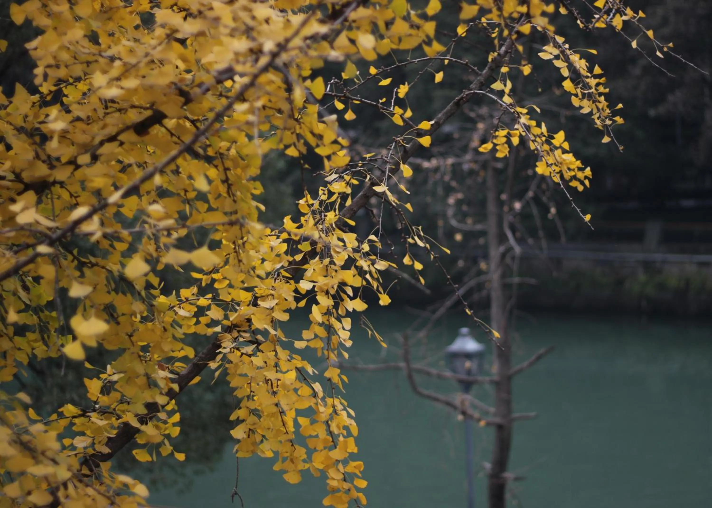 Balcony/Terrace in Moonlight Hotel