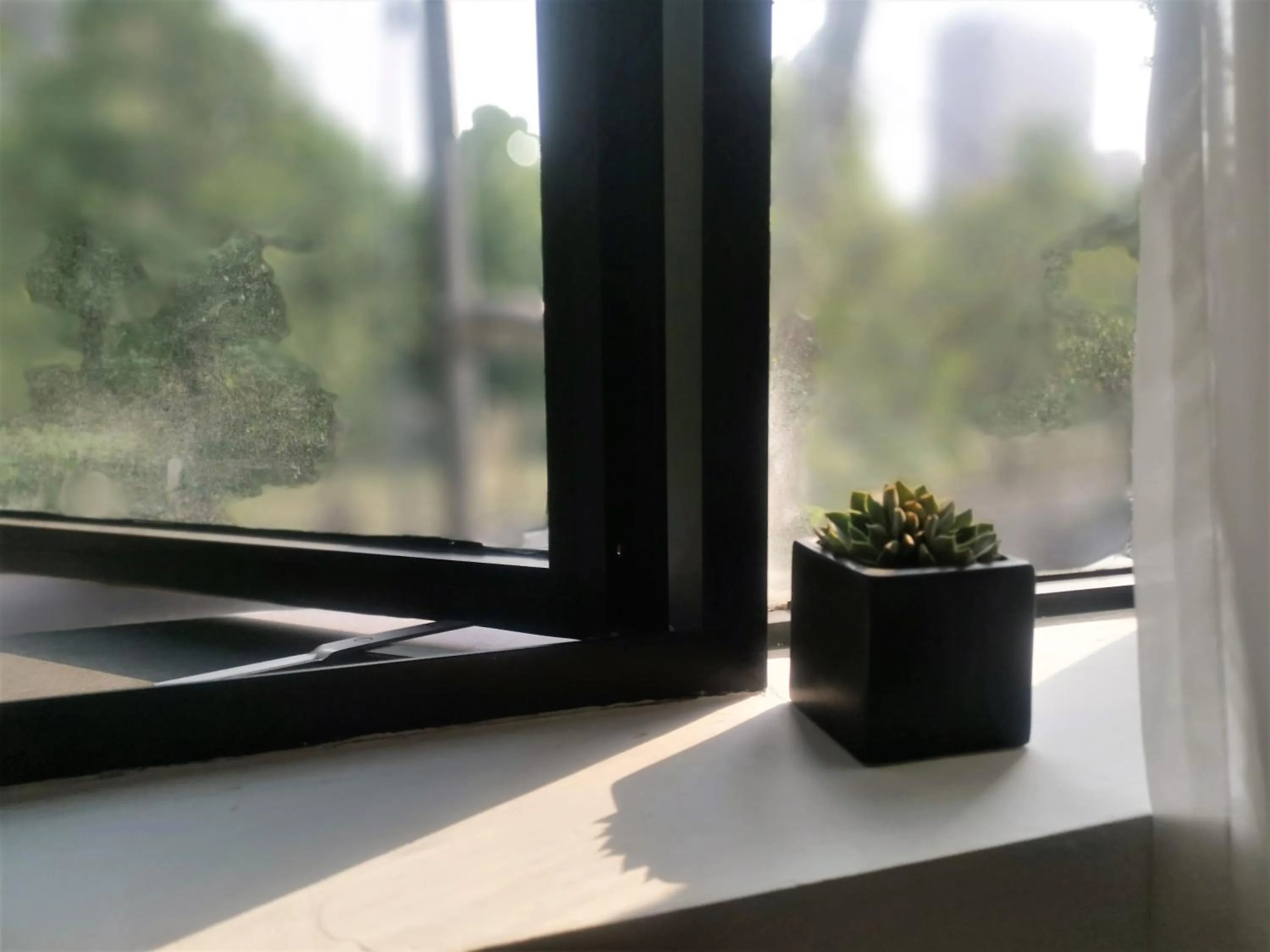 City view in Moonlight Hotel