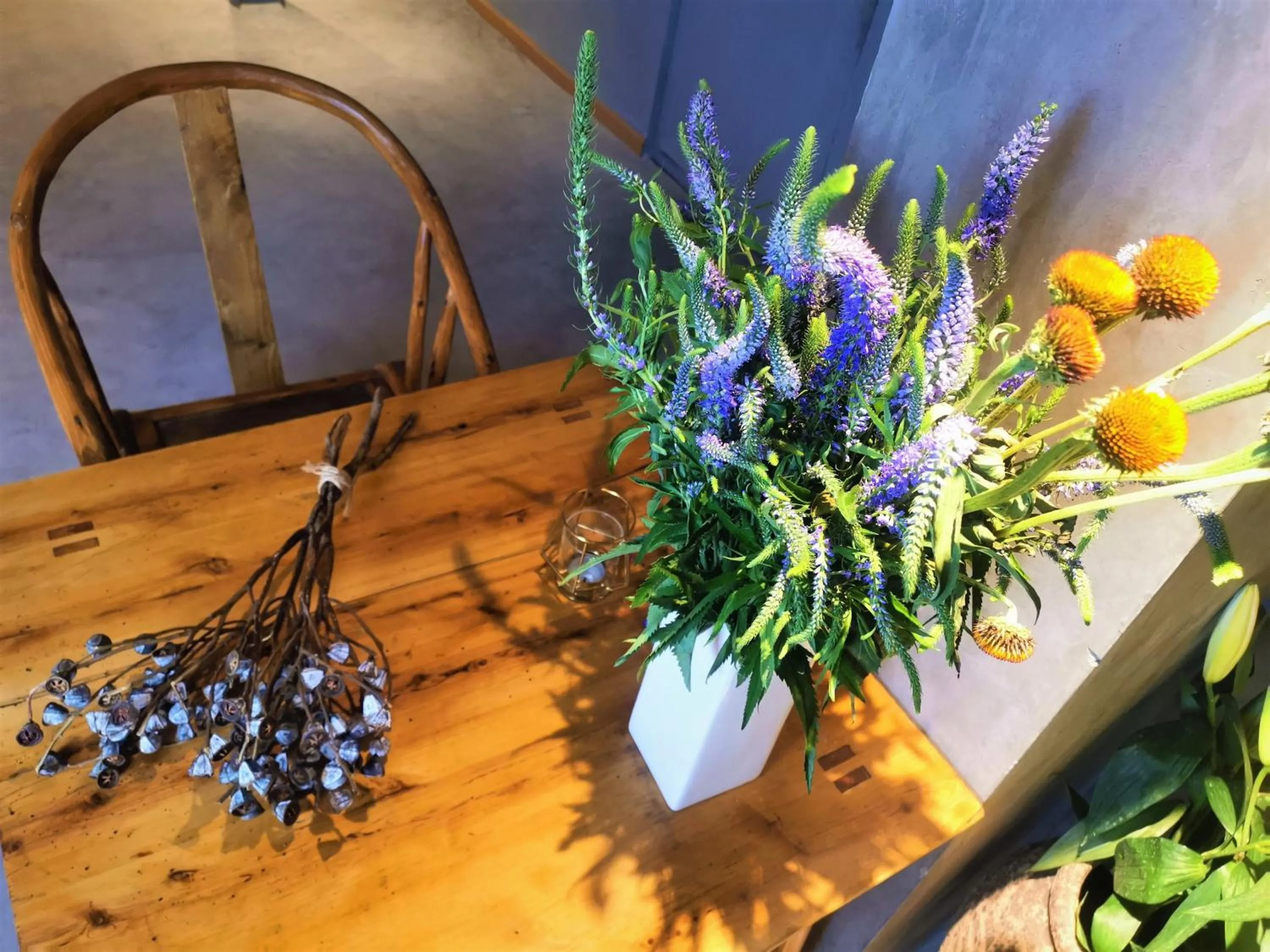 Property building in Moonlight Hotel