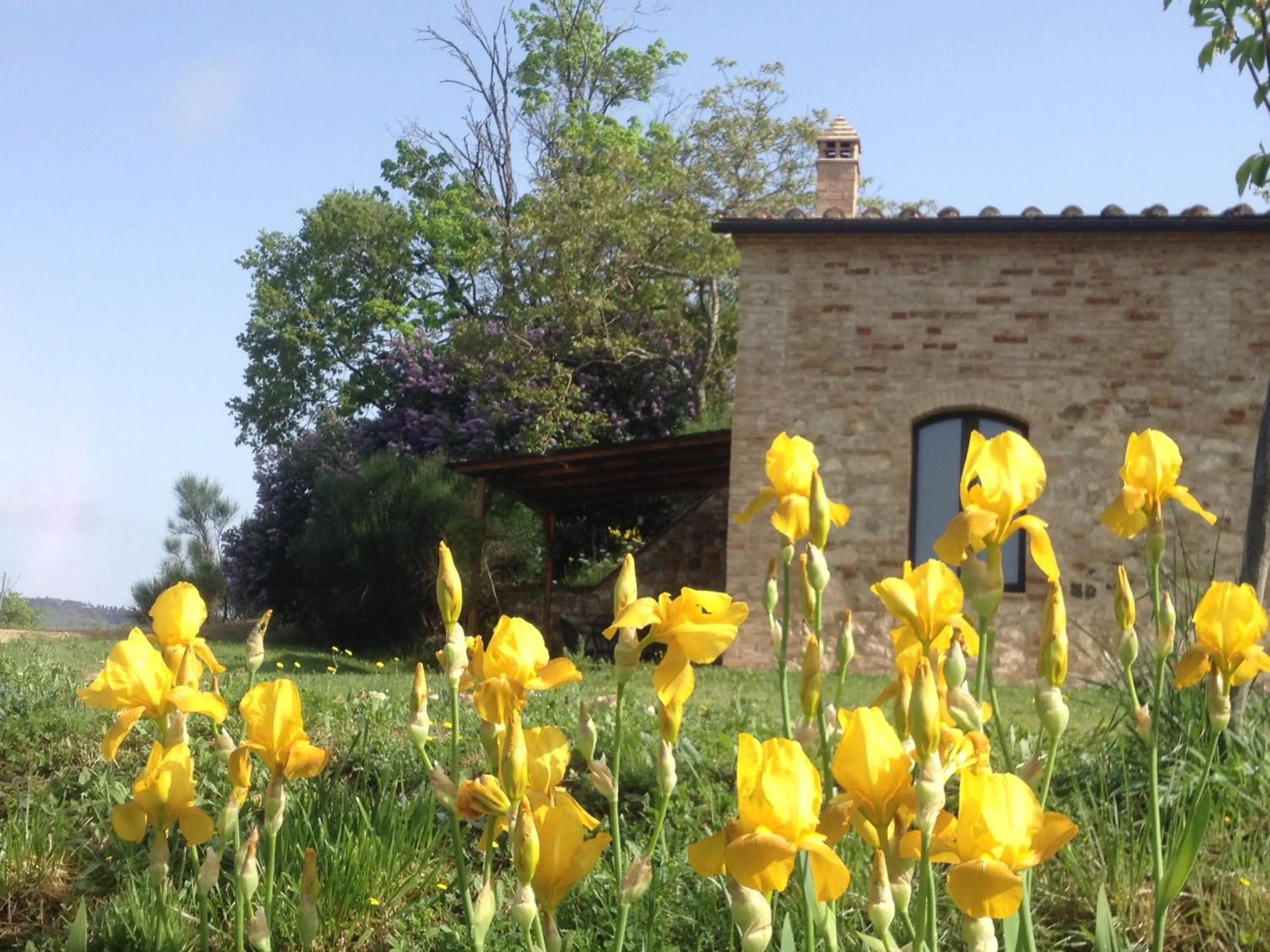 Garden in La Fornace di San Galgano