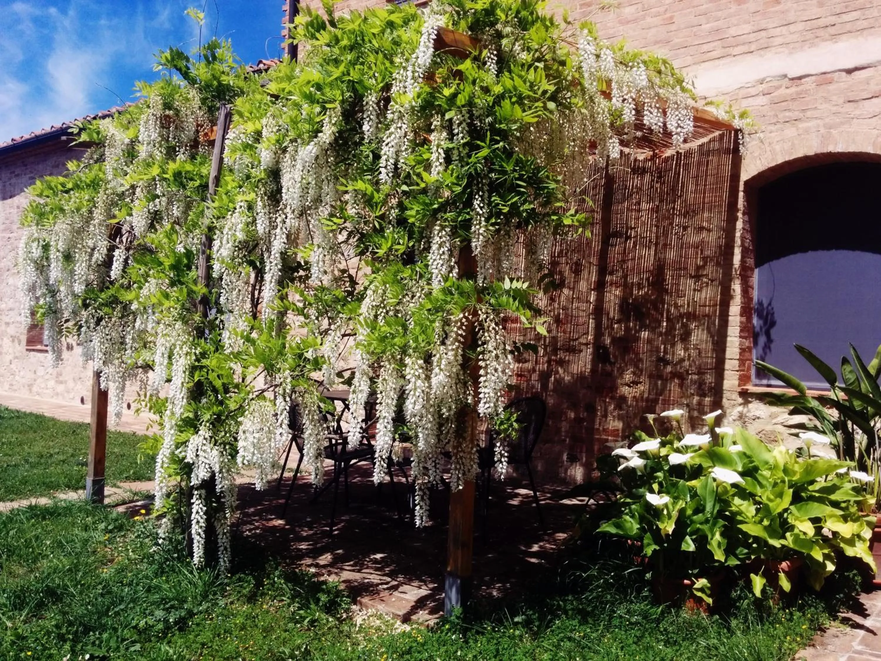 Garden in La Fornace di San Galgano