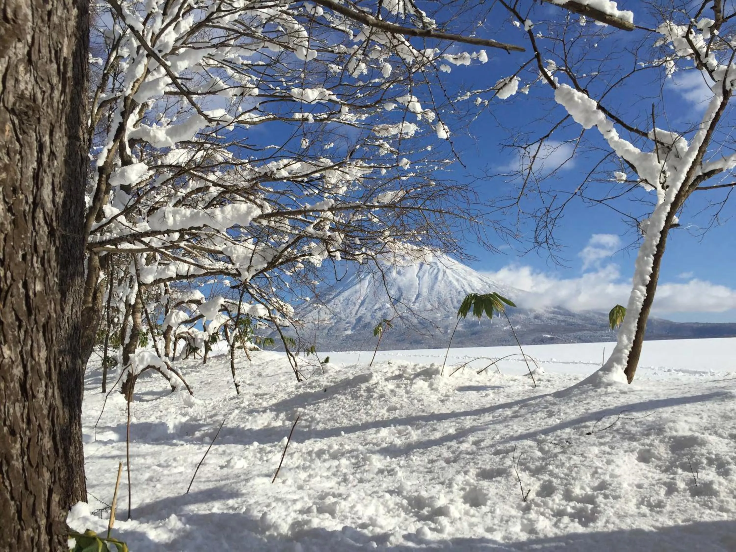Day in Andaru Collection Niseko