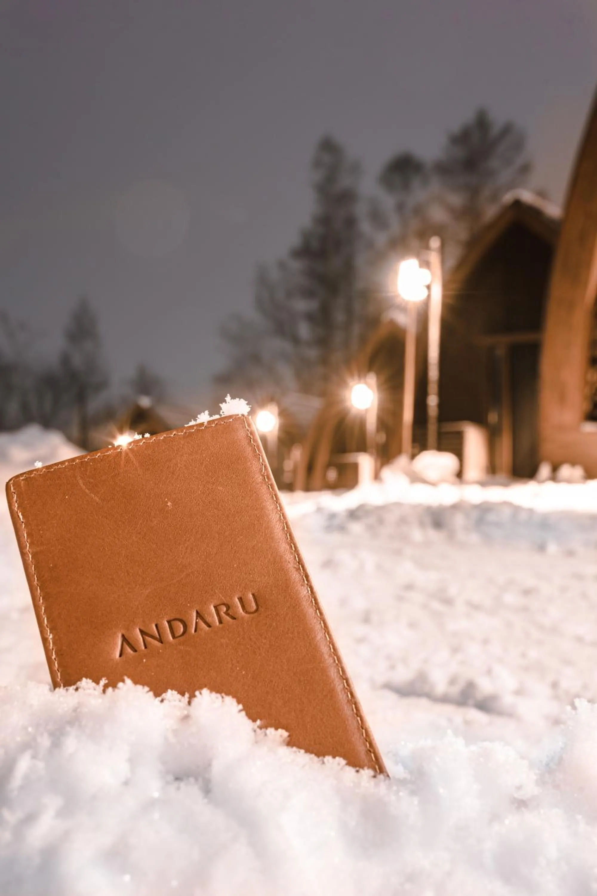 Night in Andaru Collection Niseko