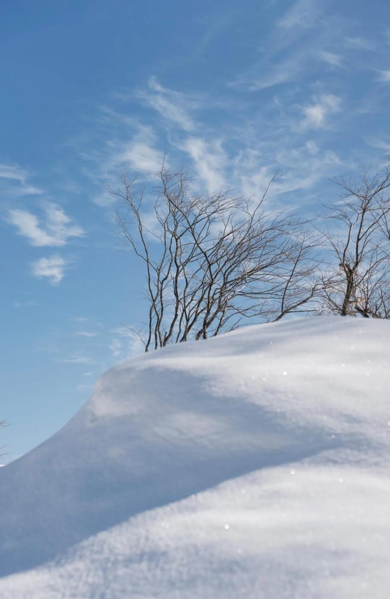 Day in Andaru Collection Niseko
