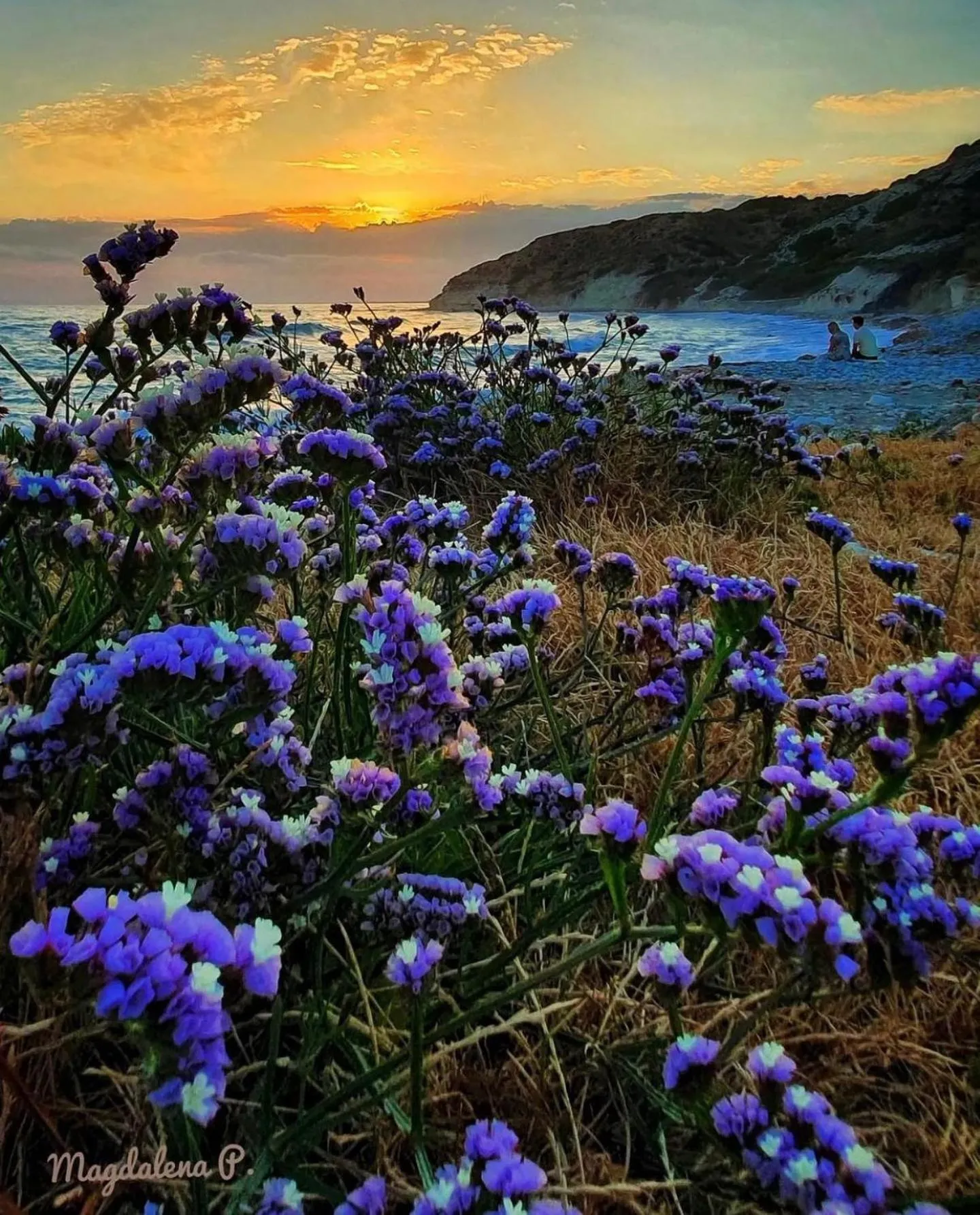 Governors Beach Panayiotis