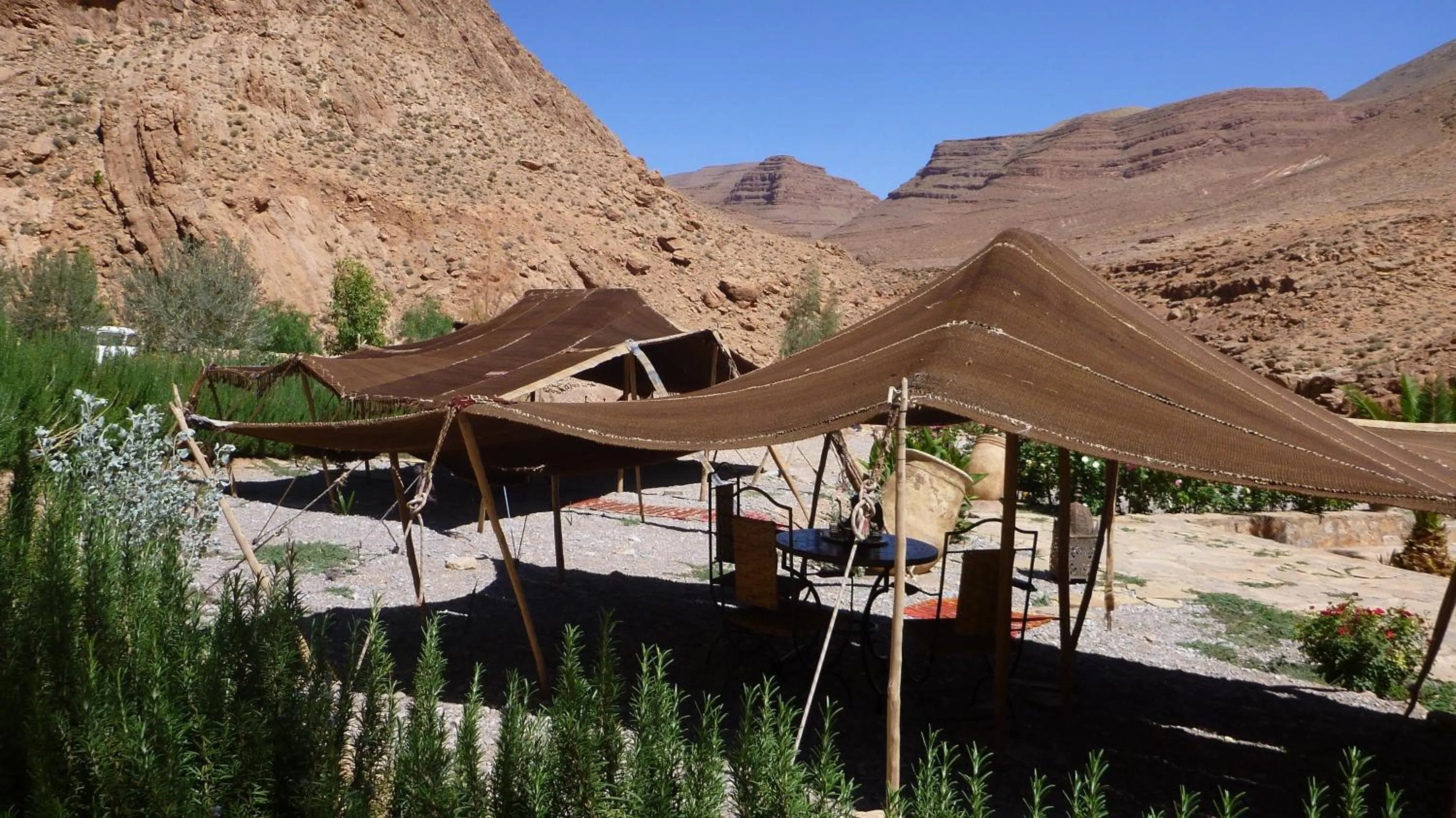 Garden in Auberge Le Festival Todra Gorge