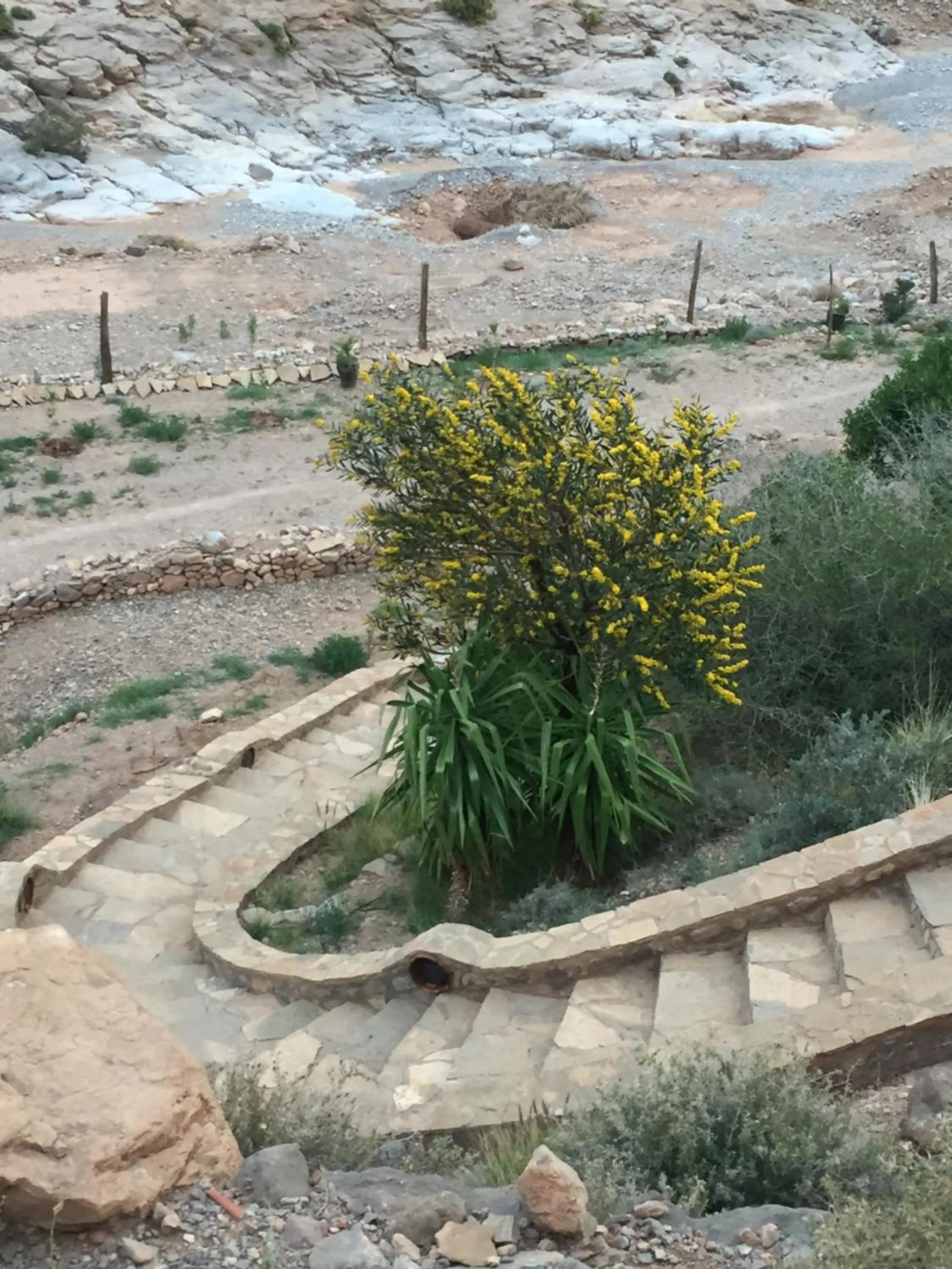 Auberge Le Festival Todra Gorge