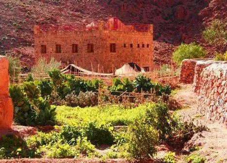 Restaurant/places to eat in Auberge Le Festival Todra Gorge
